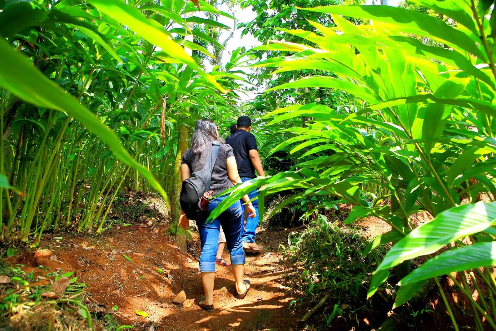 Location in Reen Resorts Aanavilasam Plantation Thekkady