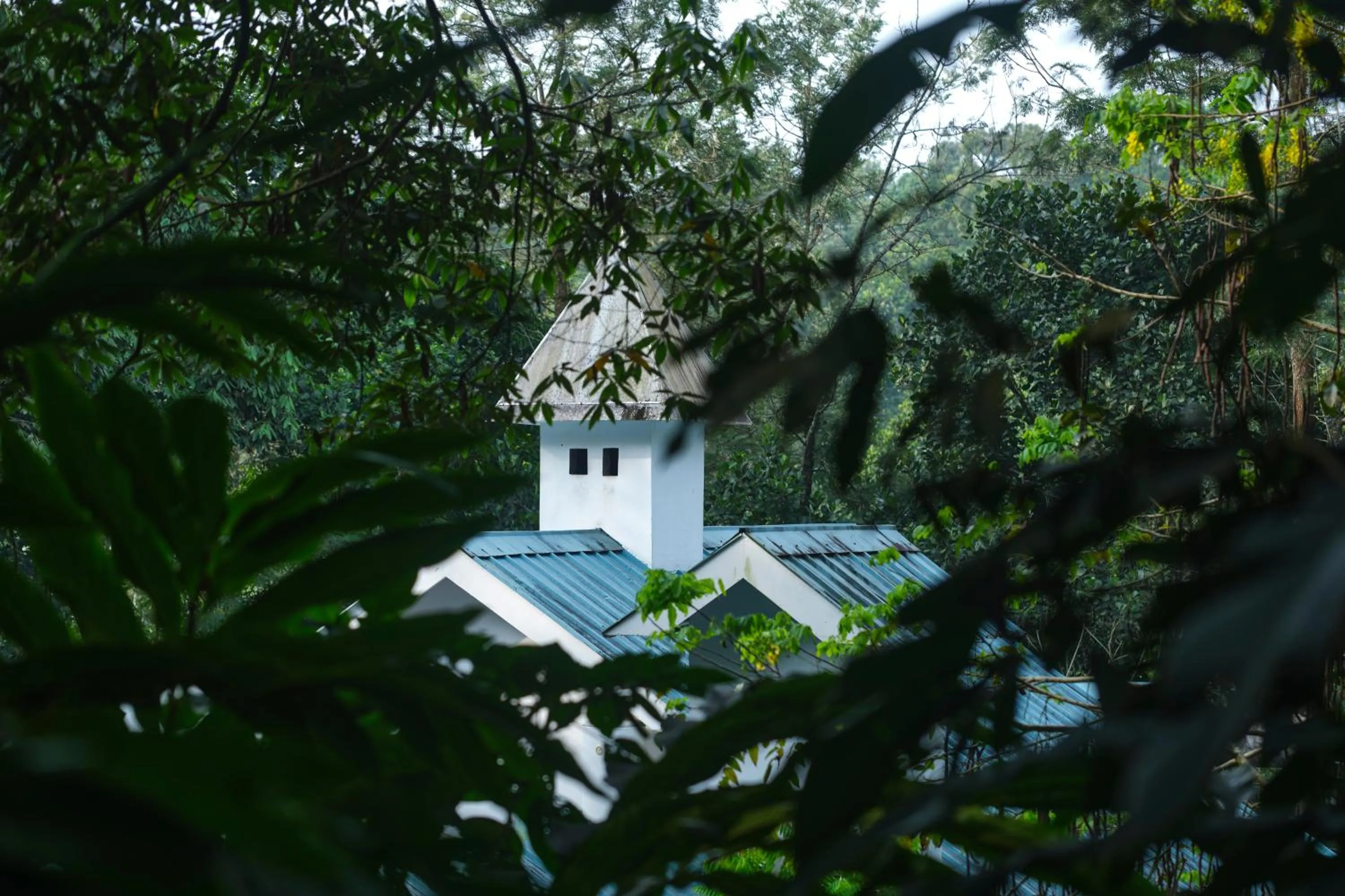 Property building in Reen Resorts Aanavilasam Plantation Thekkady