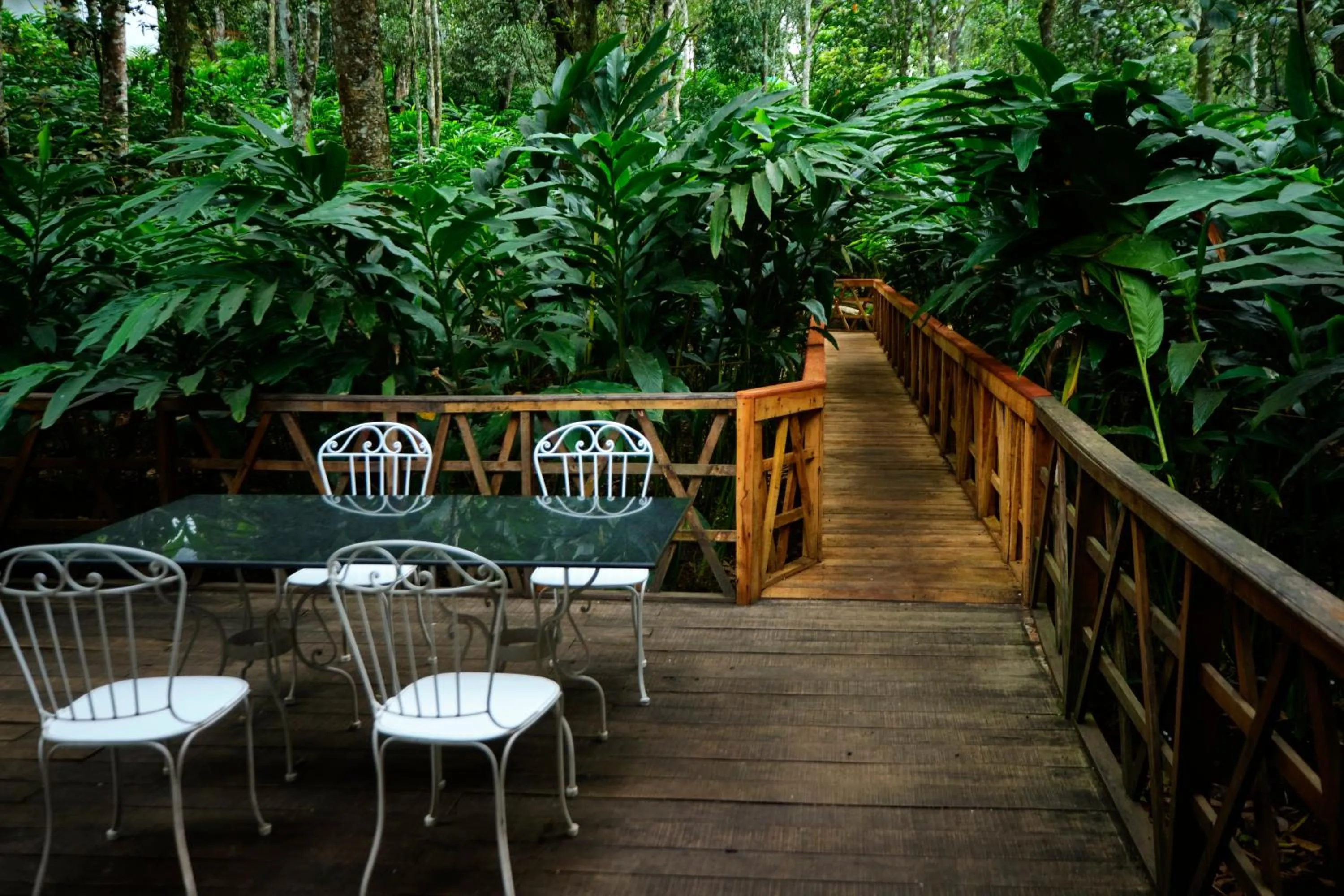 Patio in Reen Resorts Aanavilasam Plantation Thekkady
