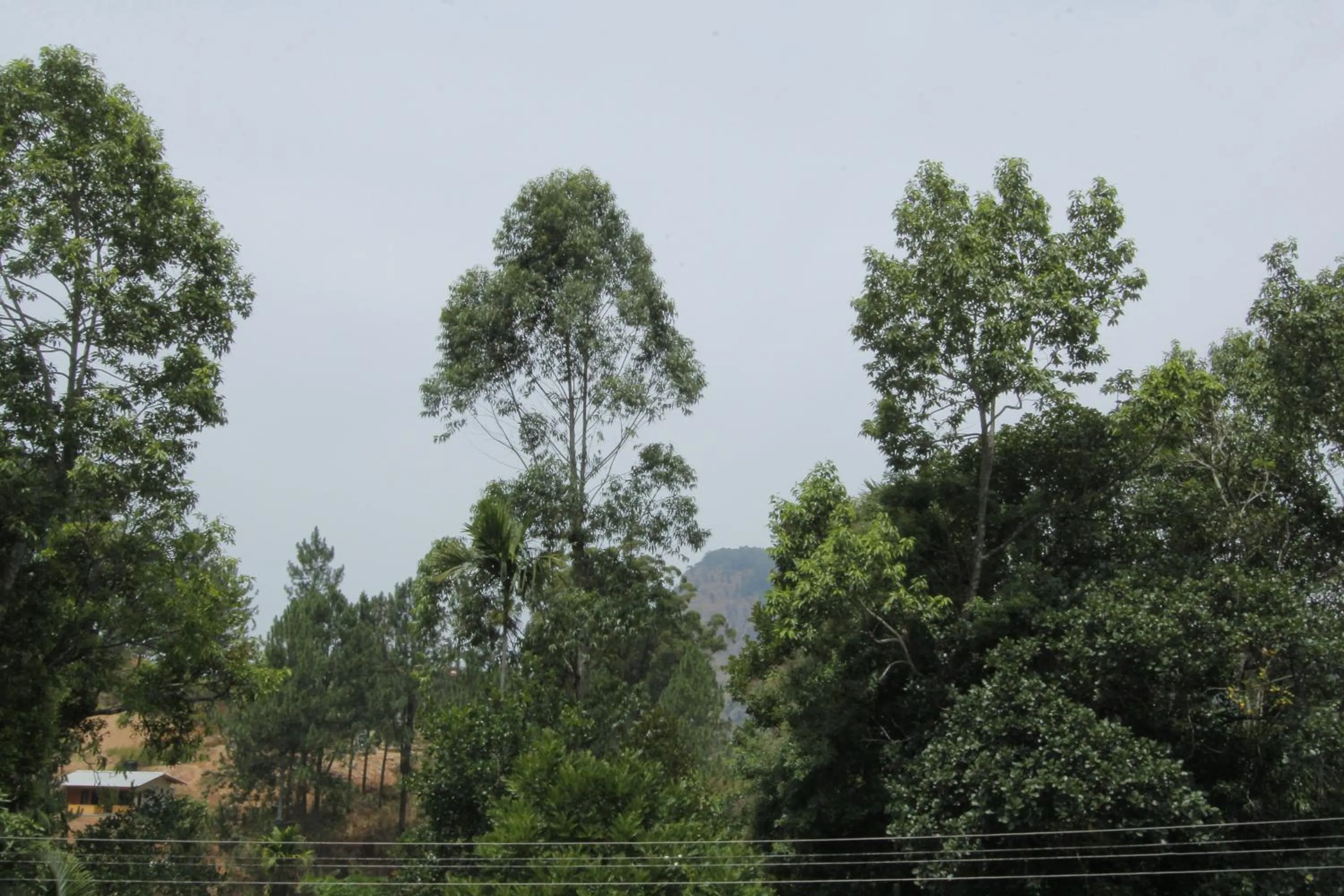 Samiru Guest Inn Ella