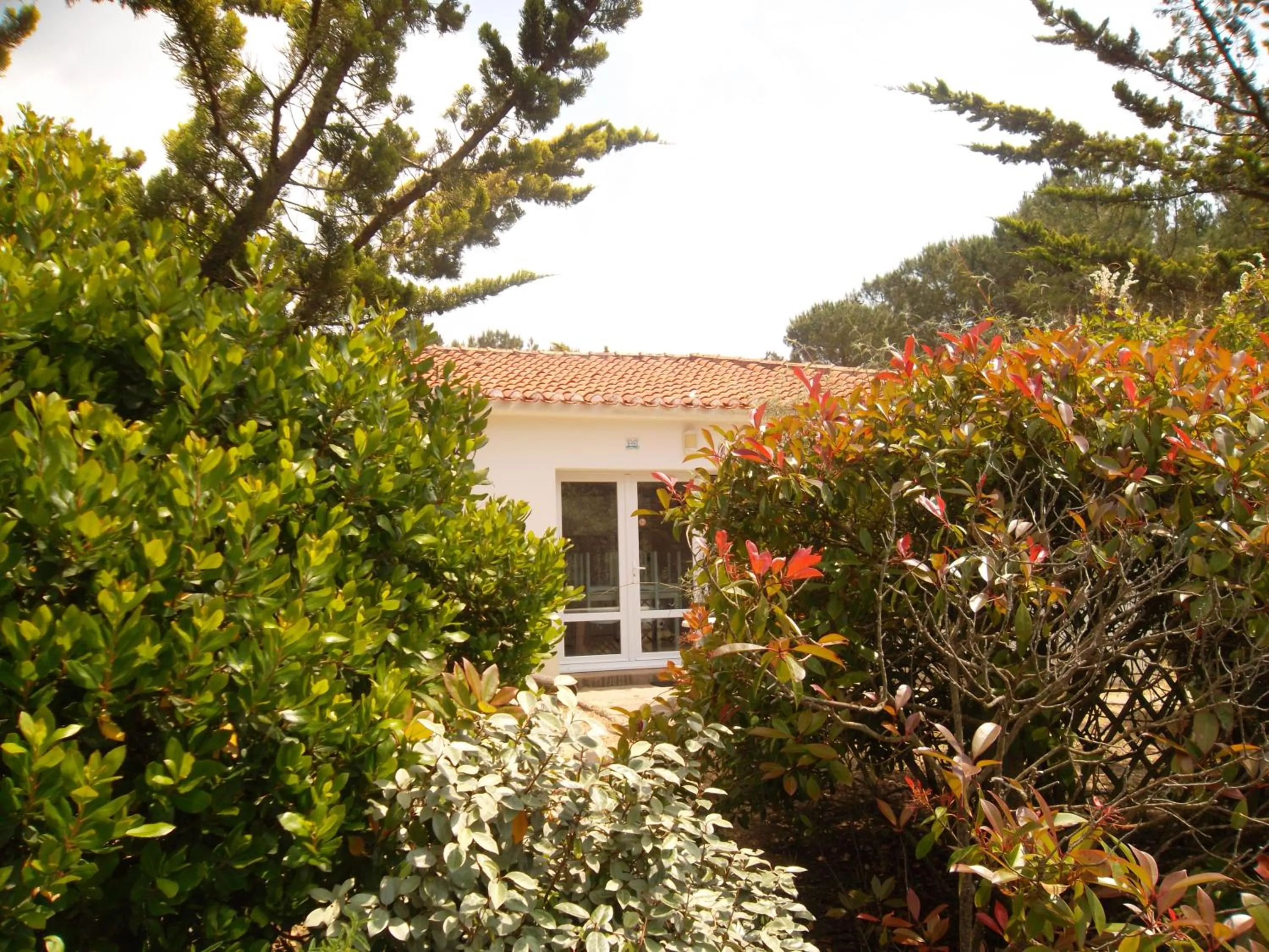 Garden in Le Hameau de l'Ocean