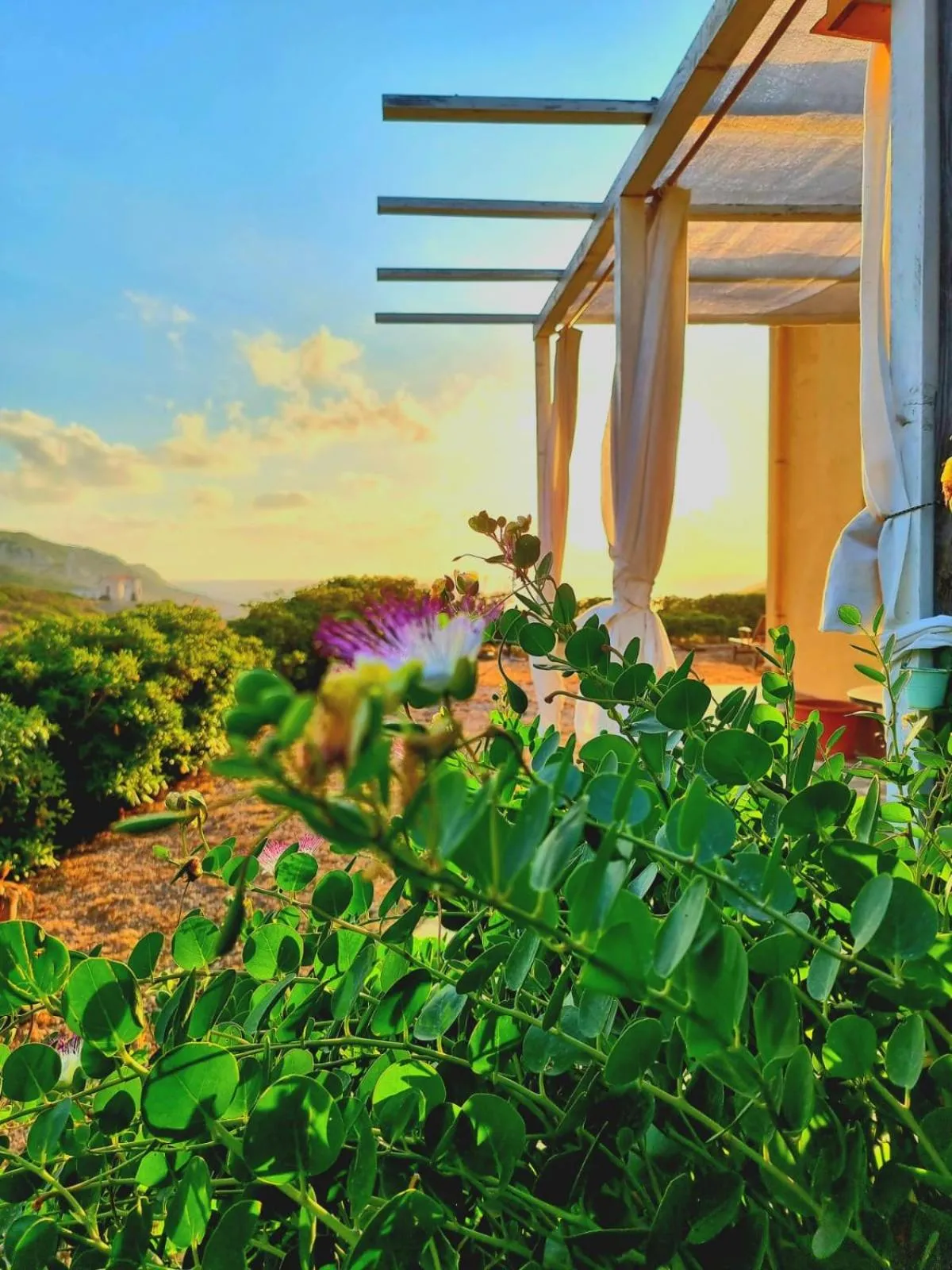 Natural landscape in B&B Calata Di Soli