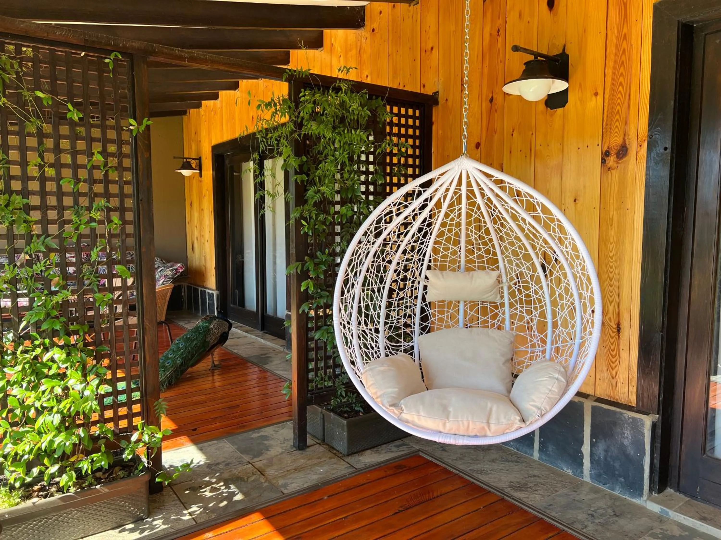 Patio in Malachite Manor