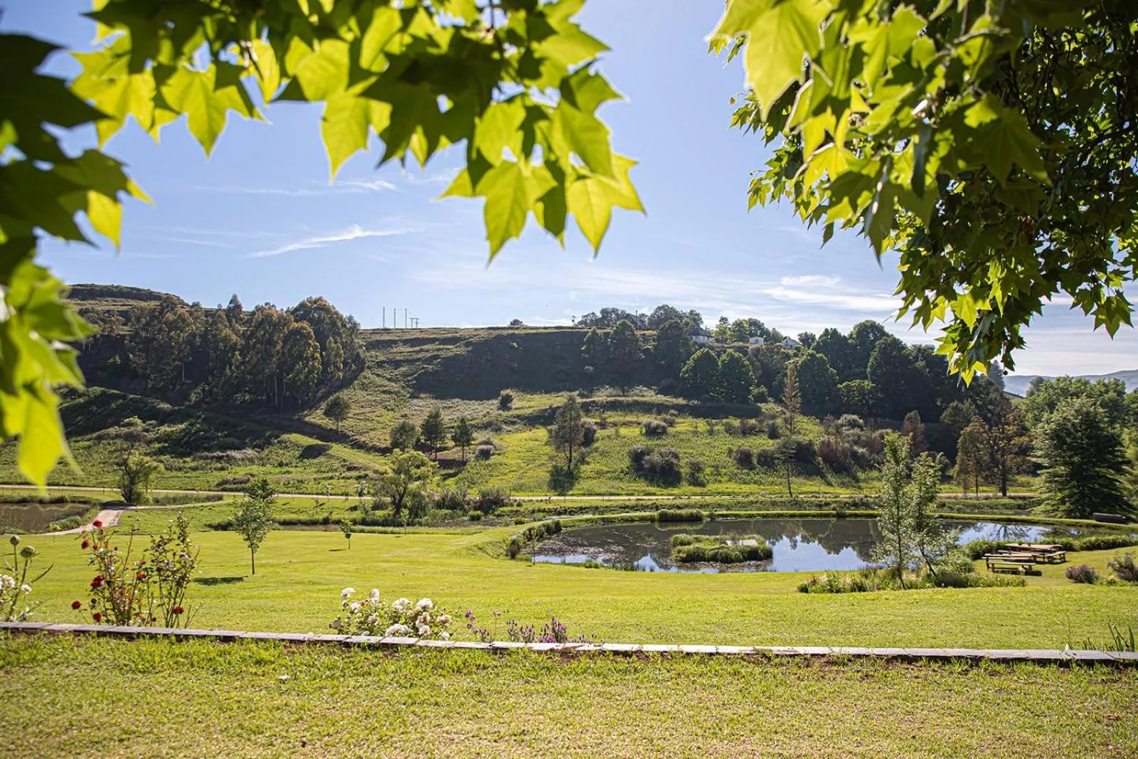 Restaurant/places to eat in Malachite Manor