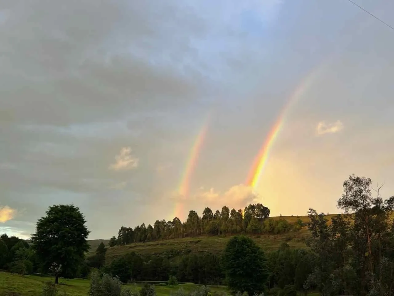 Natural landscape in Malachite Manor
