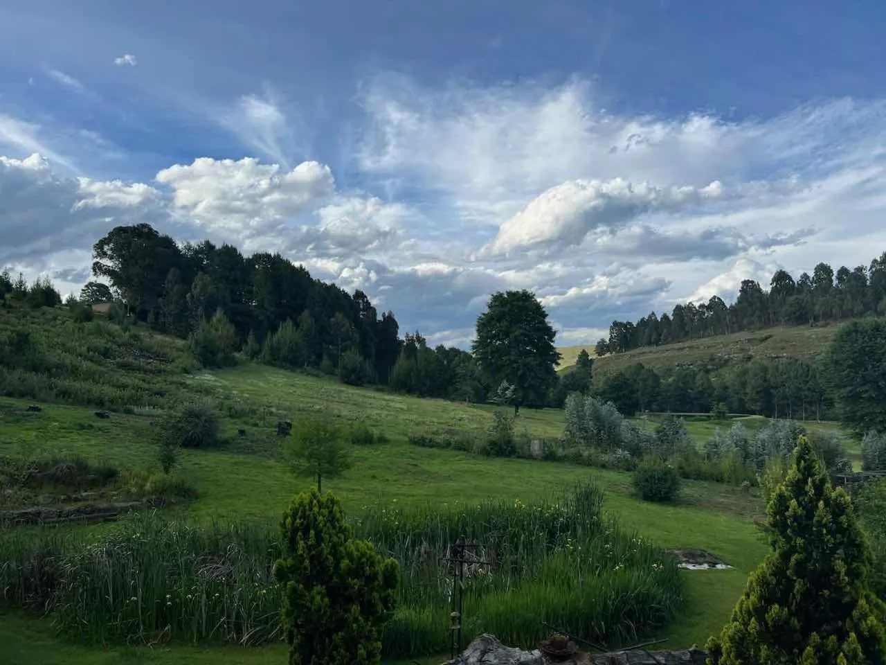 Natural landscape in Malachite Manor