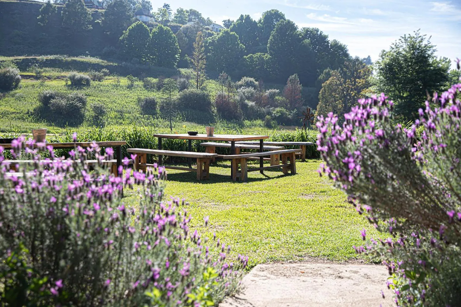 Property building in Malachite Manor