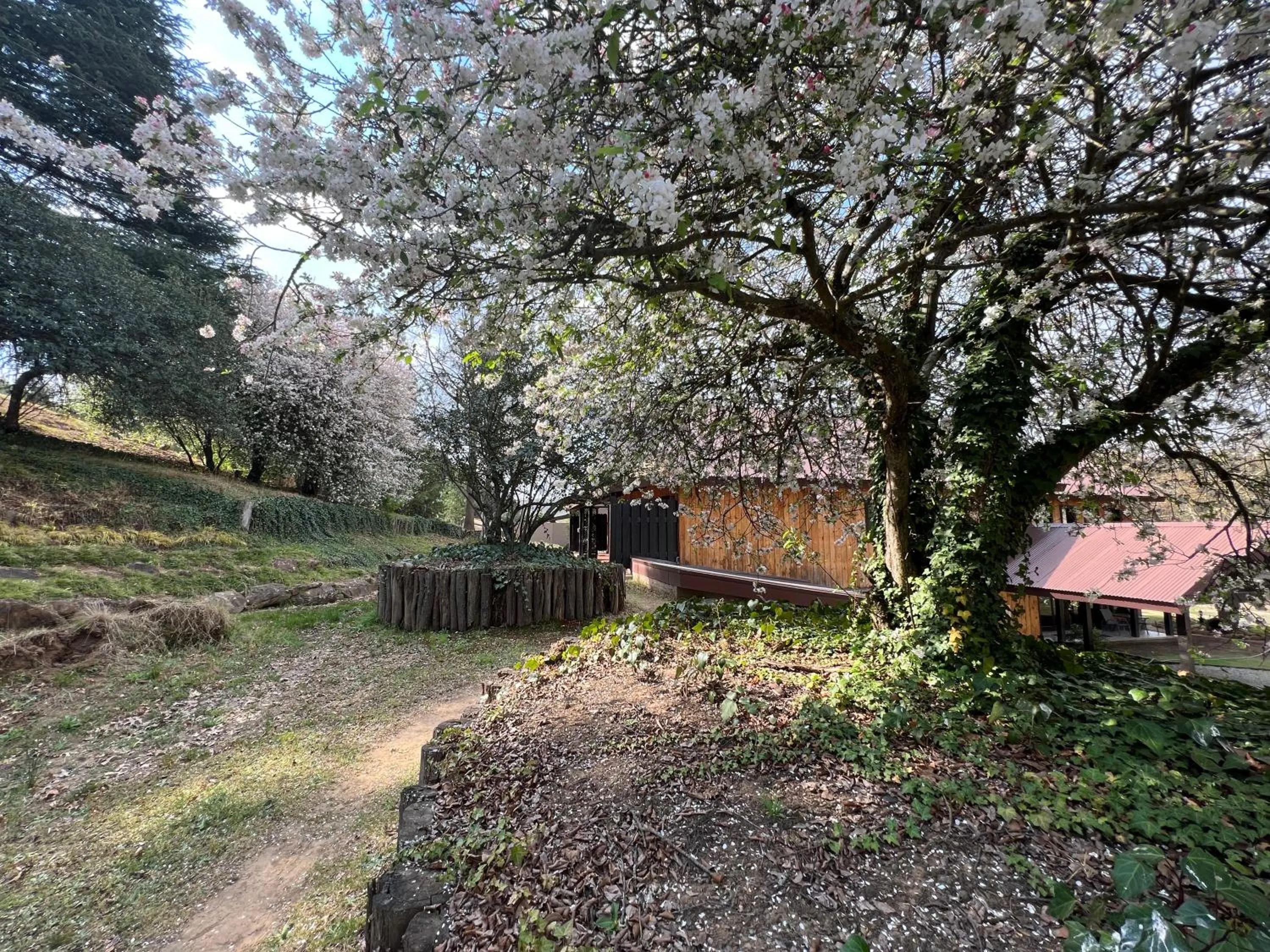 Spring in Malachite Manor