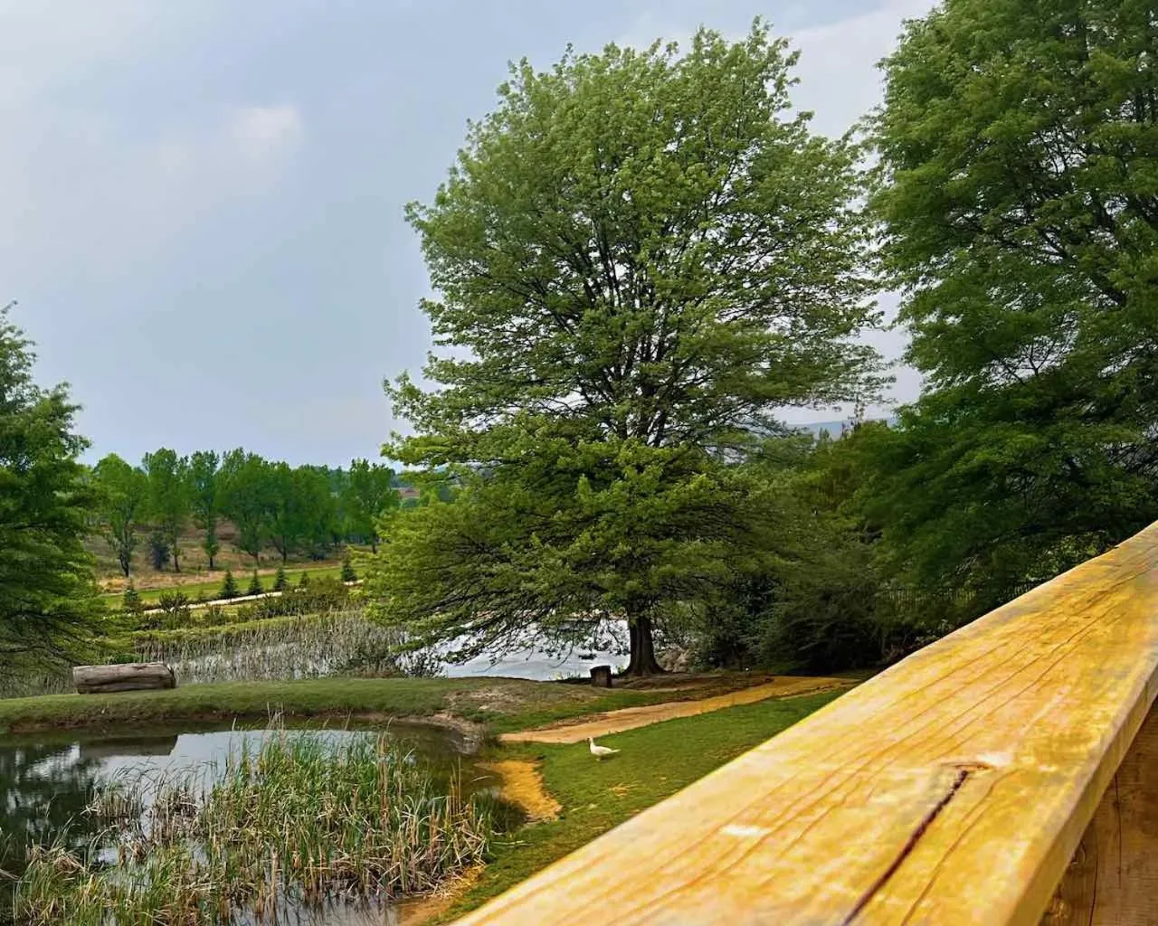 Property building in Malachite Manor