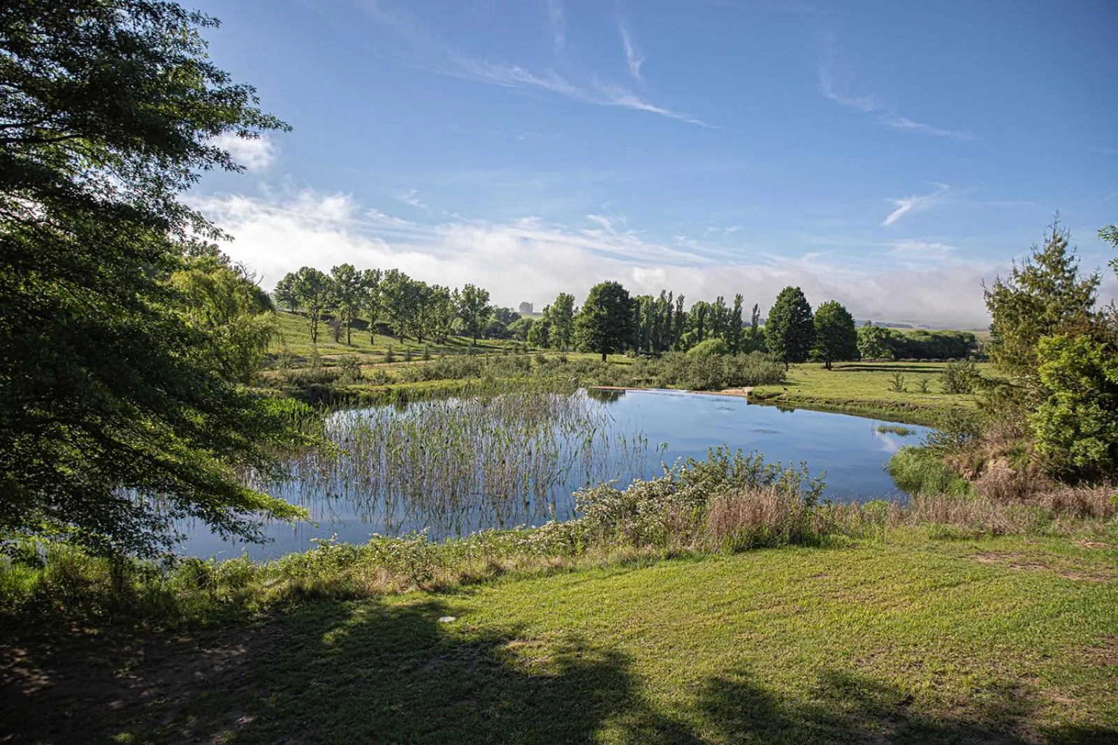 Day in Malachite Manor