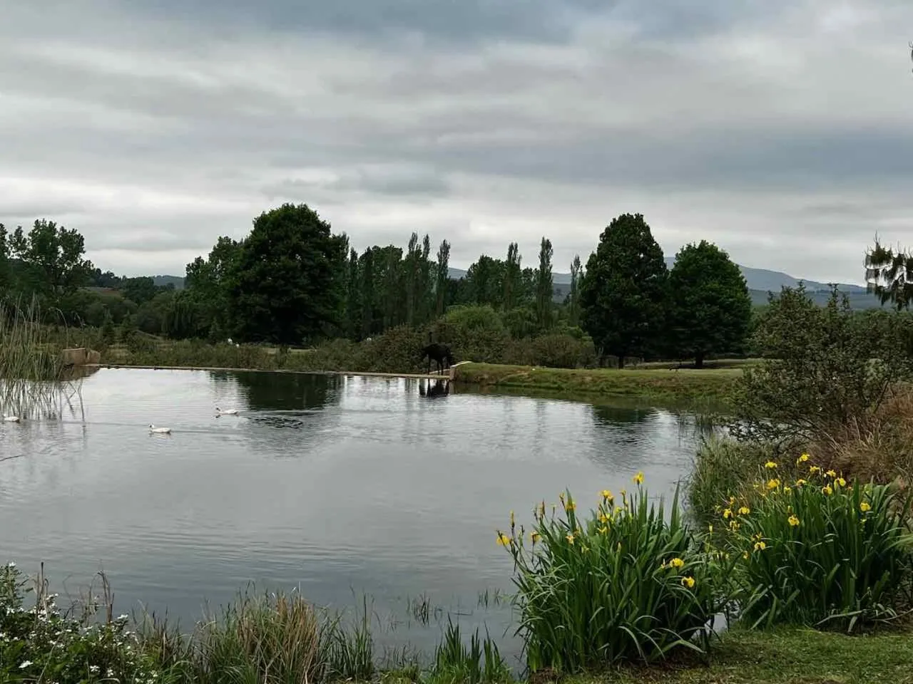 Natural landscape in Malachite Manor