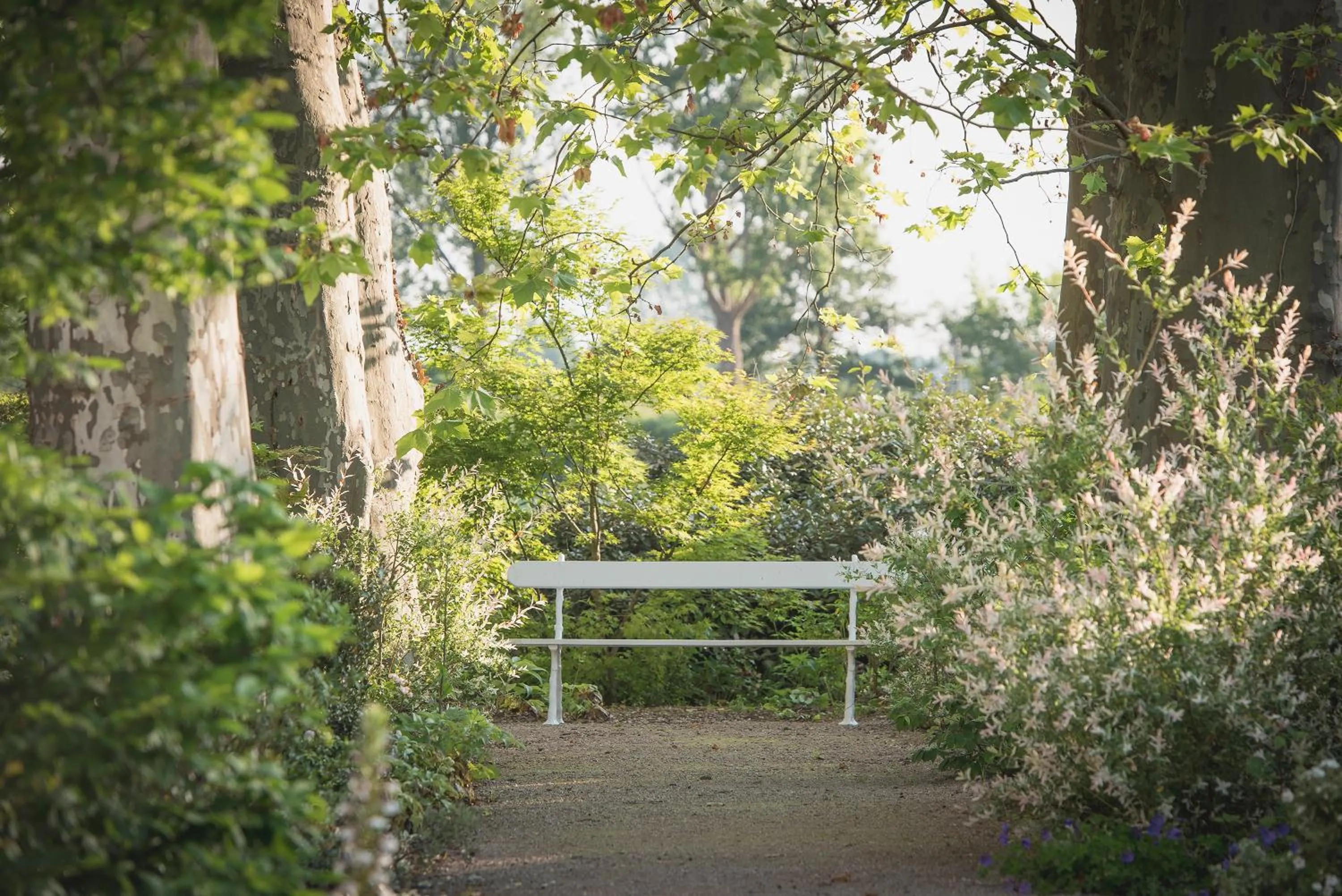 Garden, Table Tennis in Château Le Pape B&B