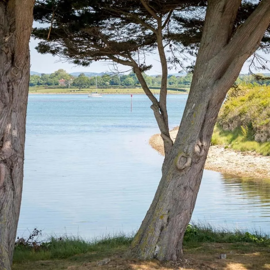 Natural landscape in Langstone Quays Resort, Portsmouth