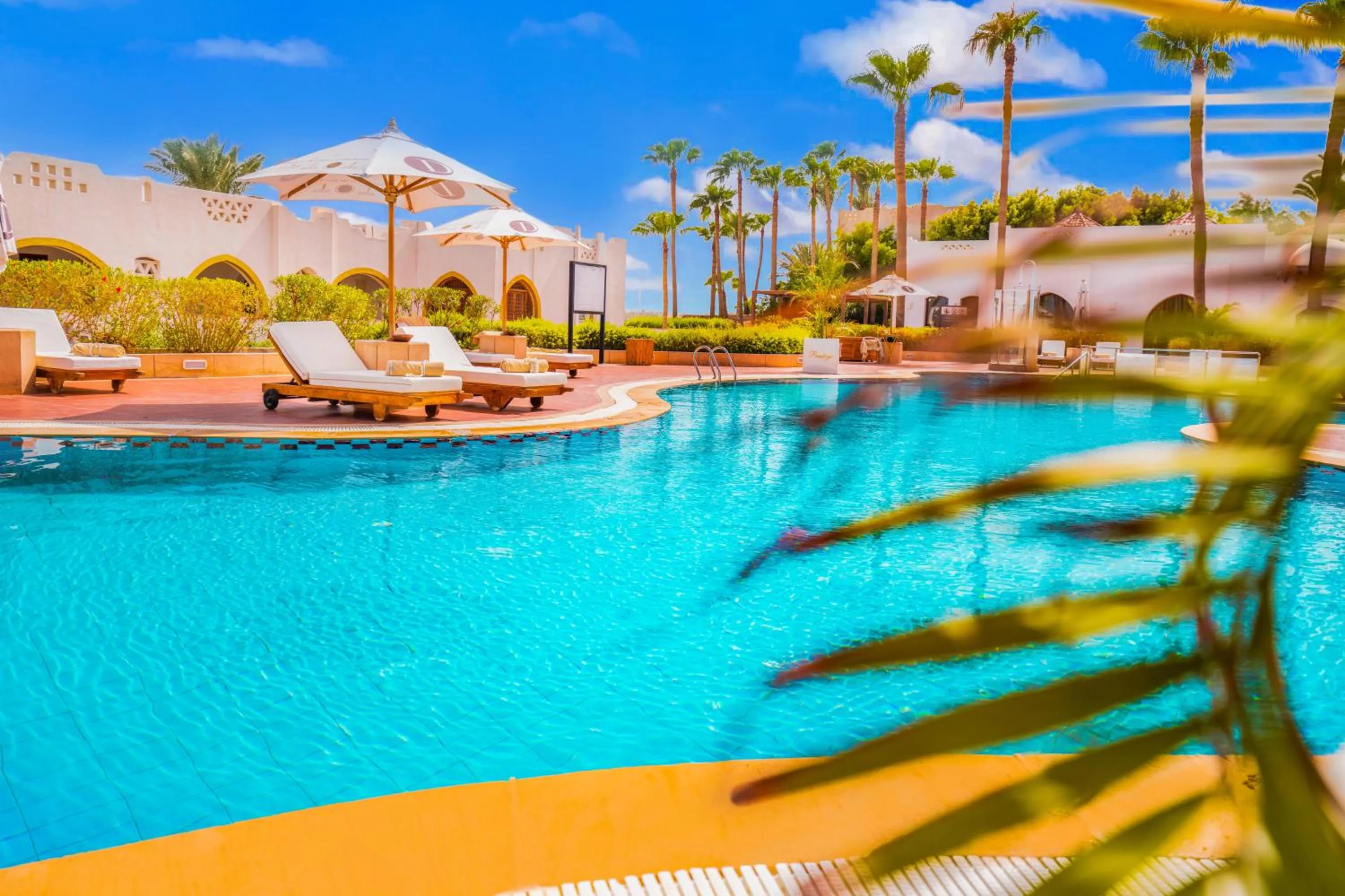 Swimming pool in Domina Coral Bay Resort, Diving , Spa & Casino