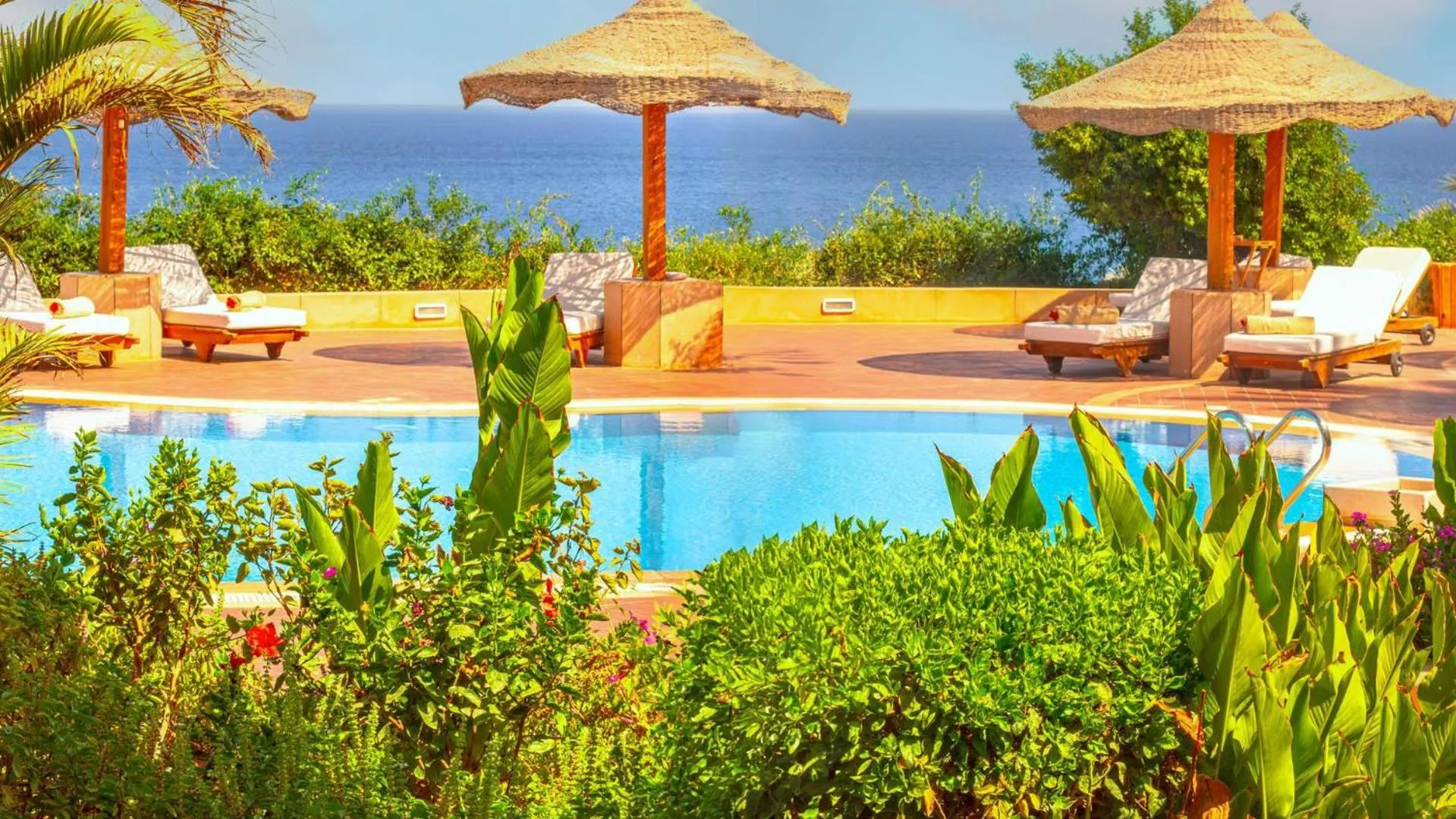 Swimming pool in Domina Coral Bay Resort, Diving , Spa & Casino