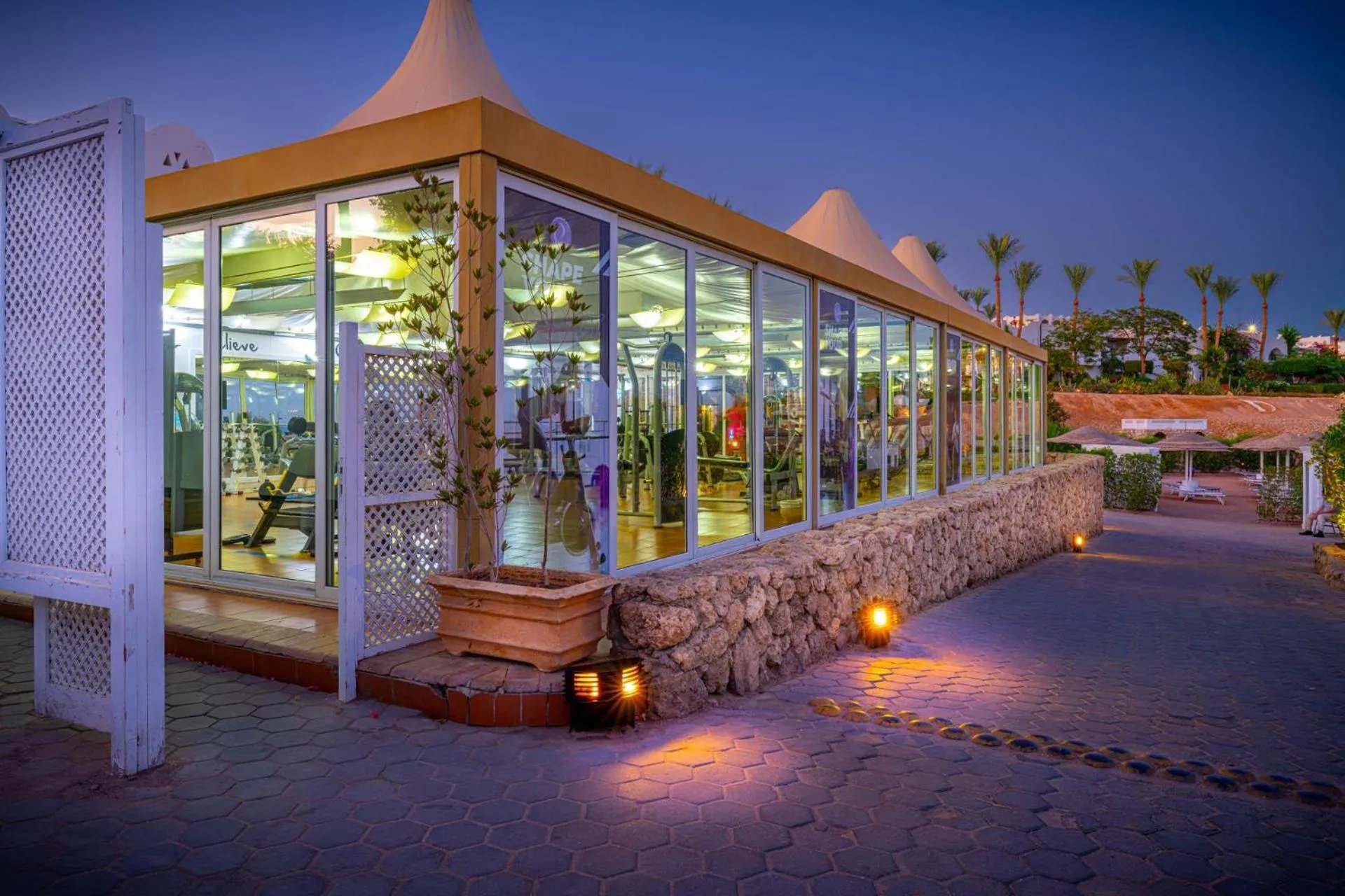 Activities in Domina Coral Bay Resort, Diving , Spa & Casino