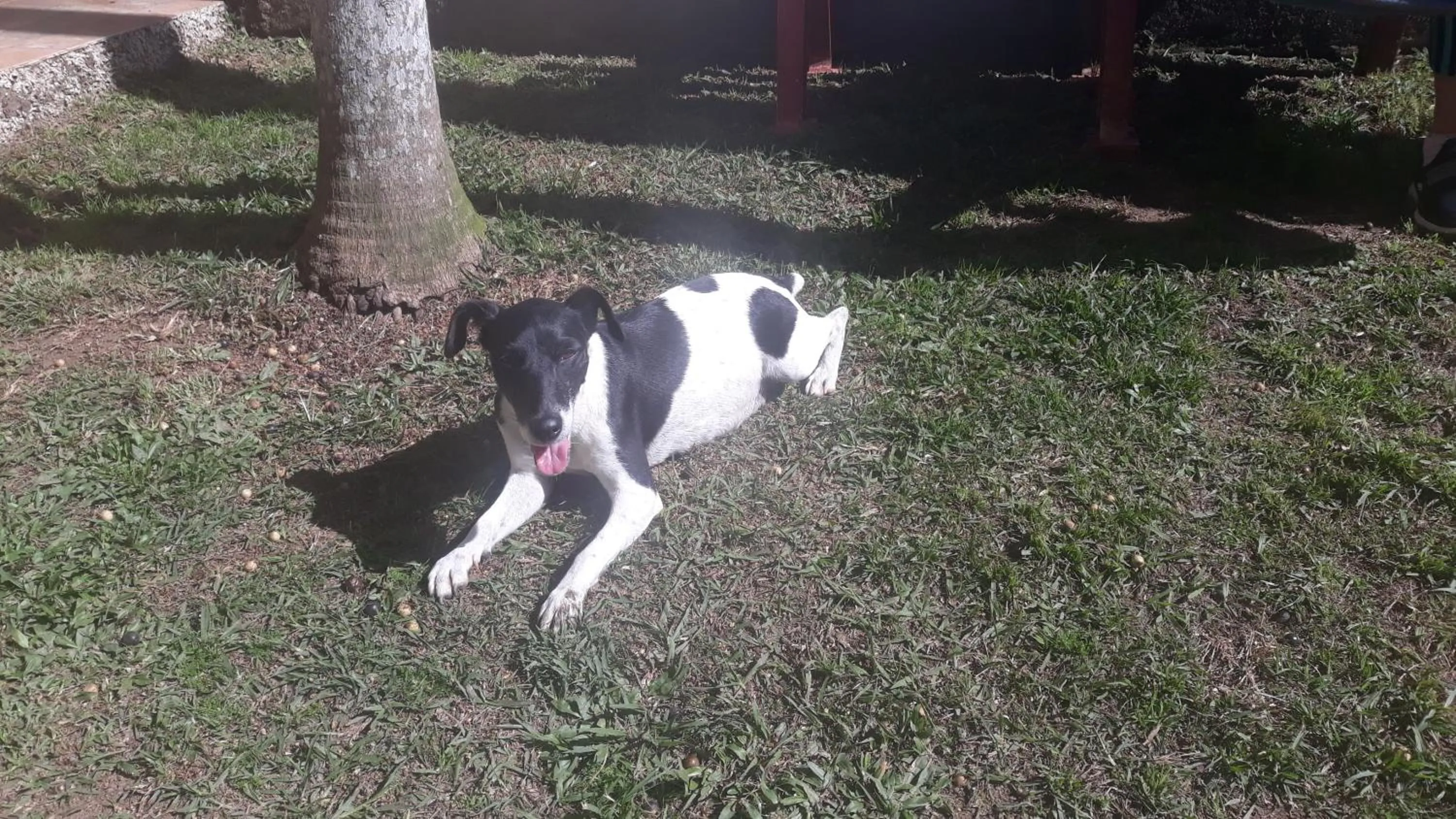 Sítio e Pousada Recanto Dos Ipês