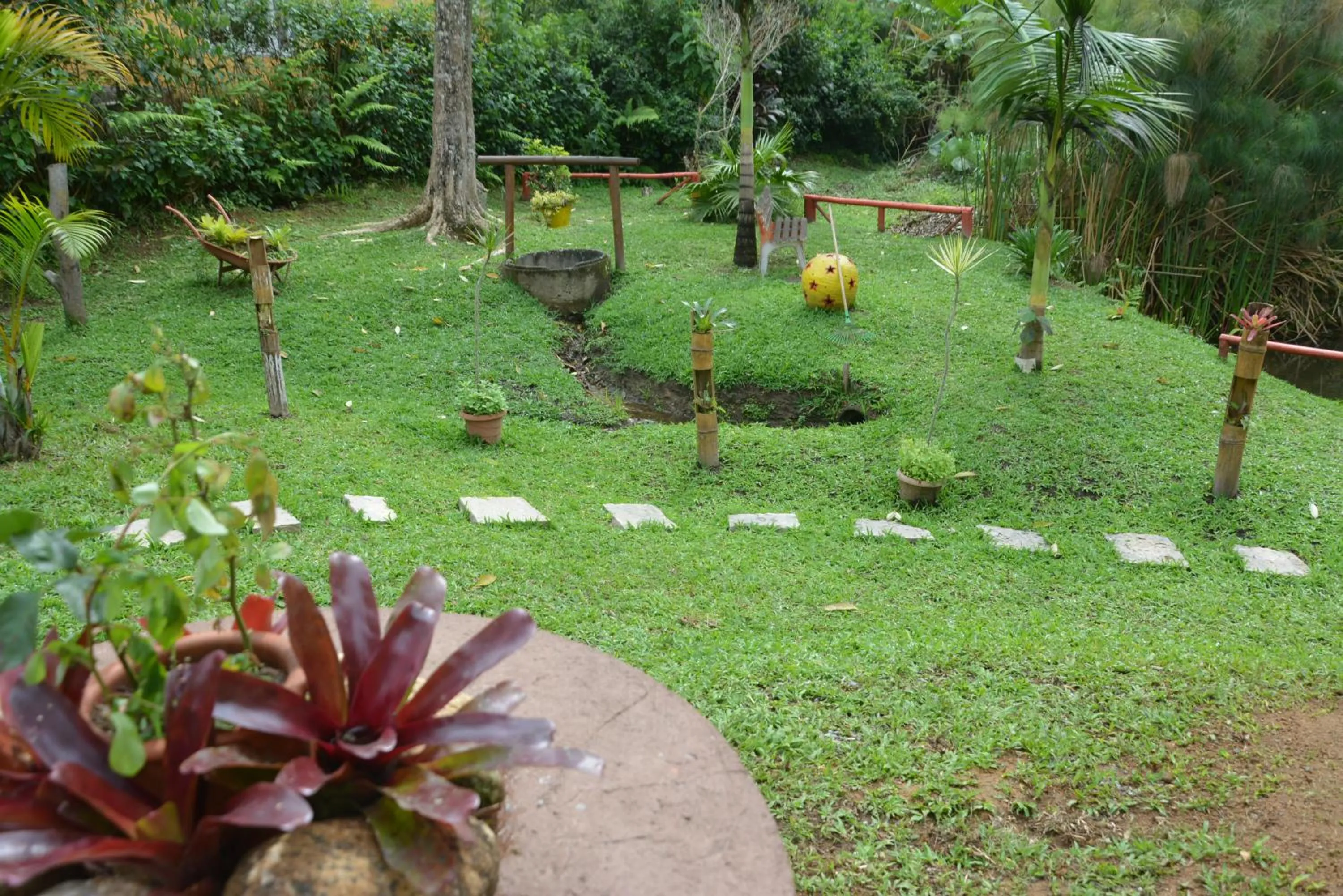 Sítio e Pousada Recanto Dos Ipês