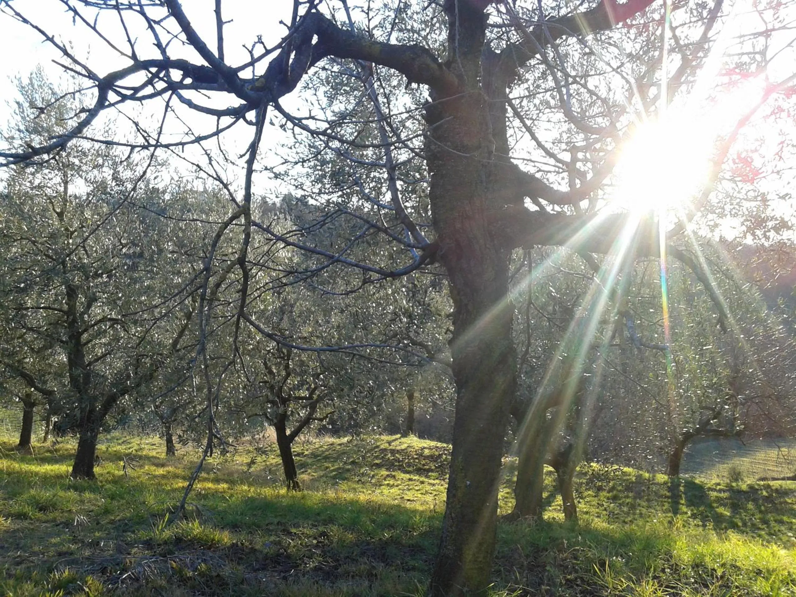 Cycling in B&B MiraValle