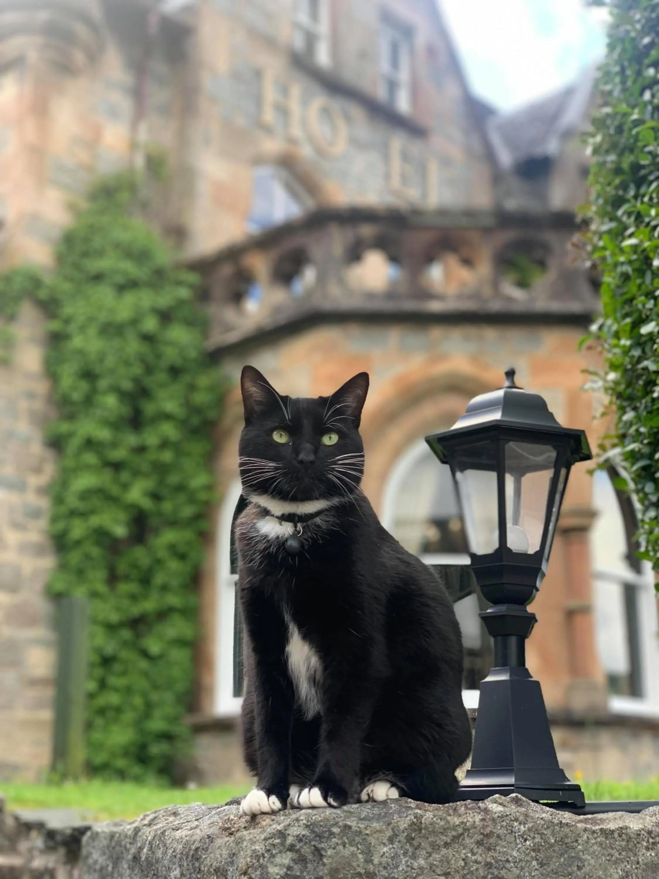 Property building in The Ballachulish Hotel