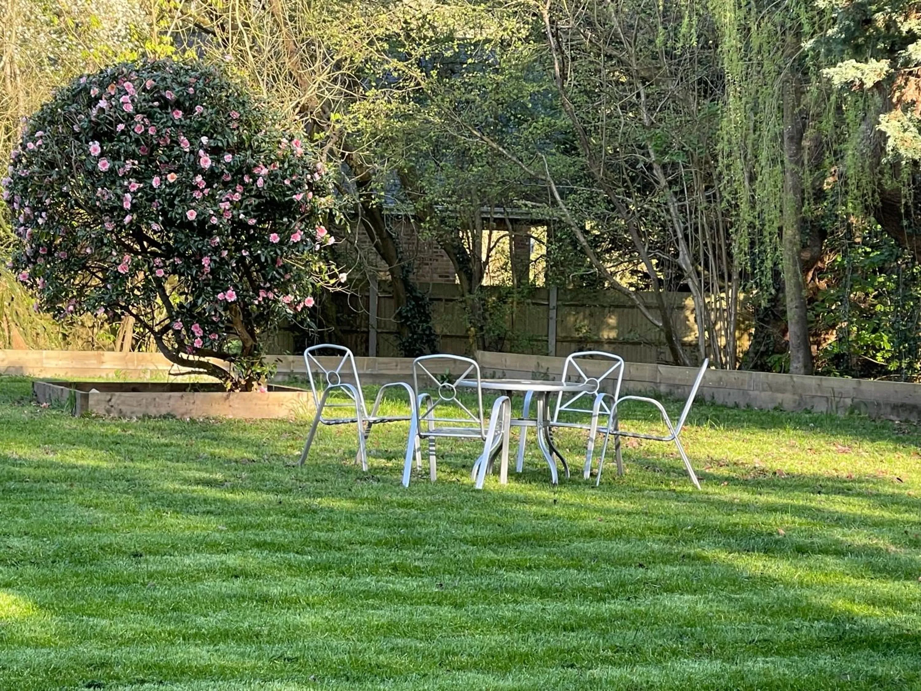 Garden in Da Vinci Guest House & Guest Parking, A Real Gem