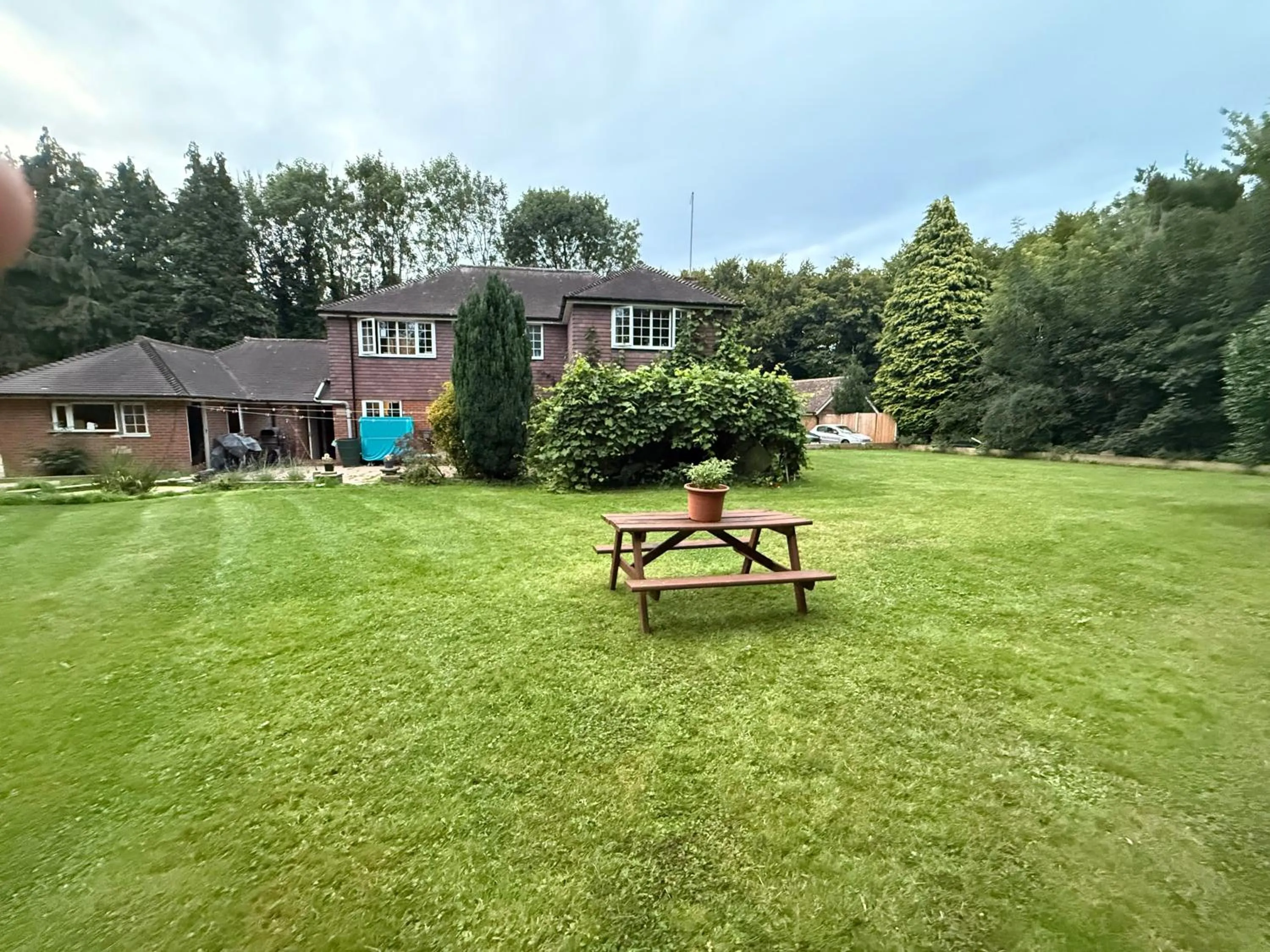 Garden view in Da Vinci Guest House & Guest Parking, A Real Gem