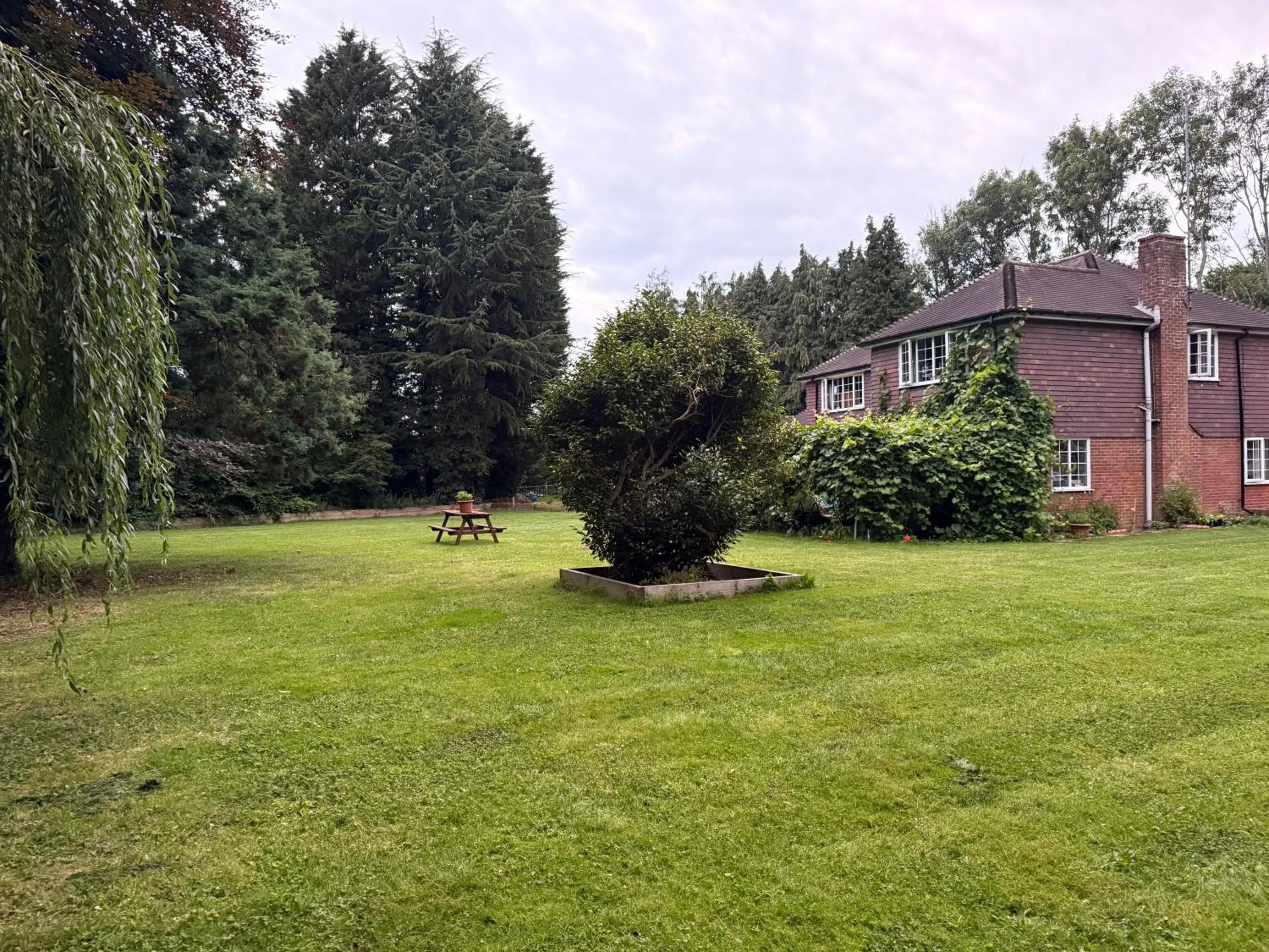 Garden view in Da Vinci Guest House & Guest Parking, A Real Gem