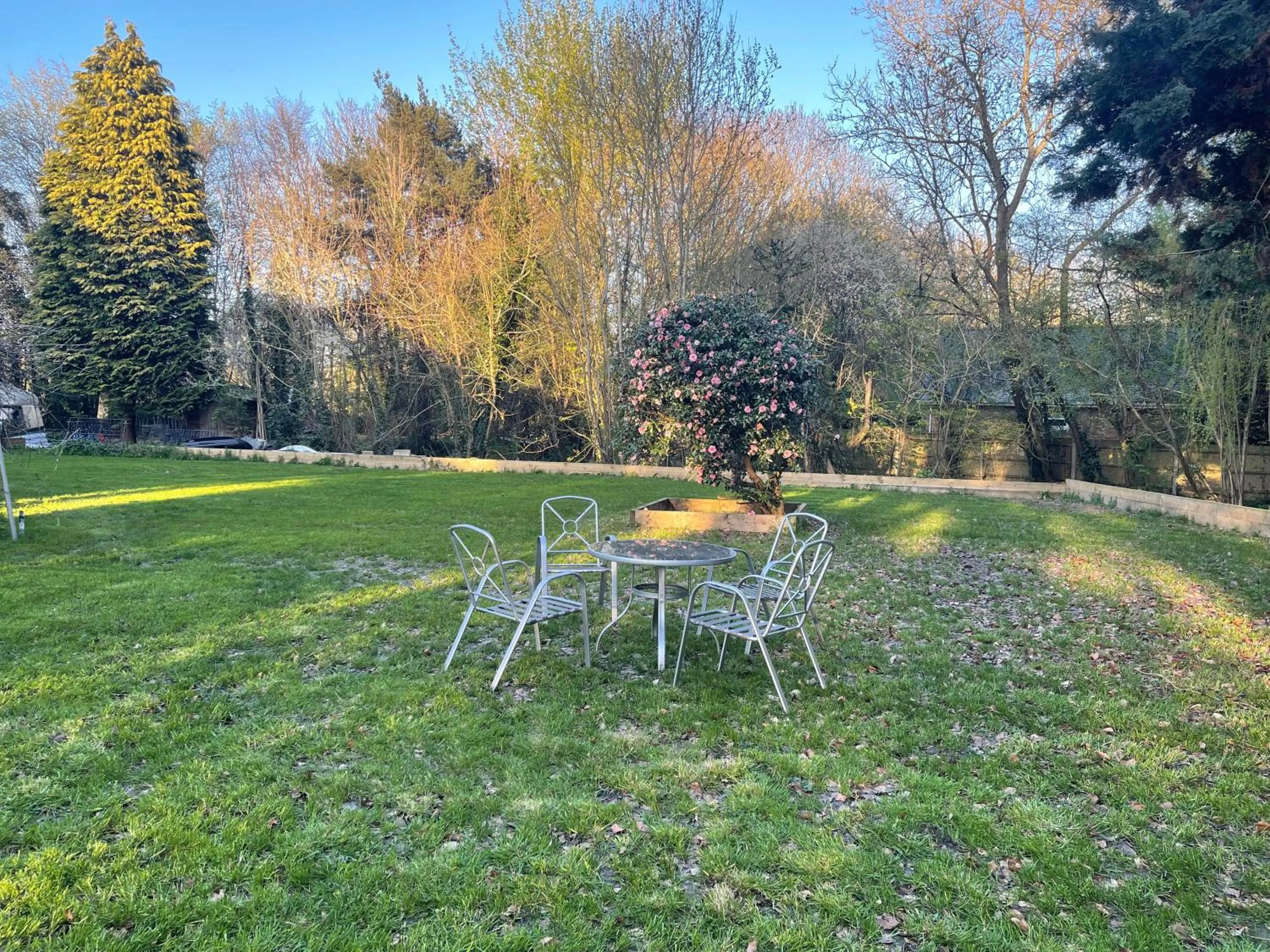 Garden in Da Vinci Guest House & Guest Parking, A Real Gem