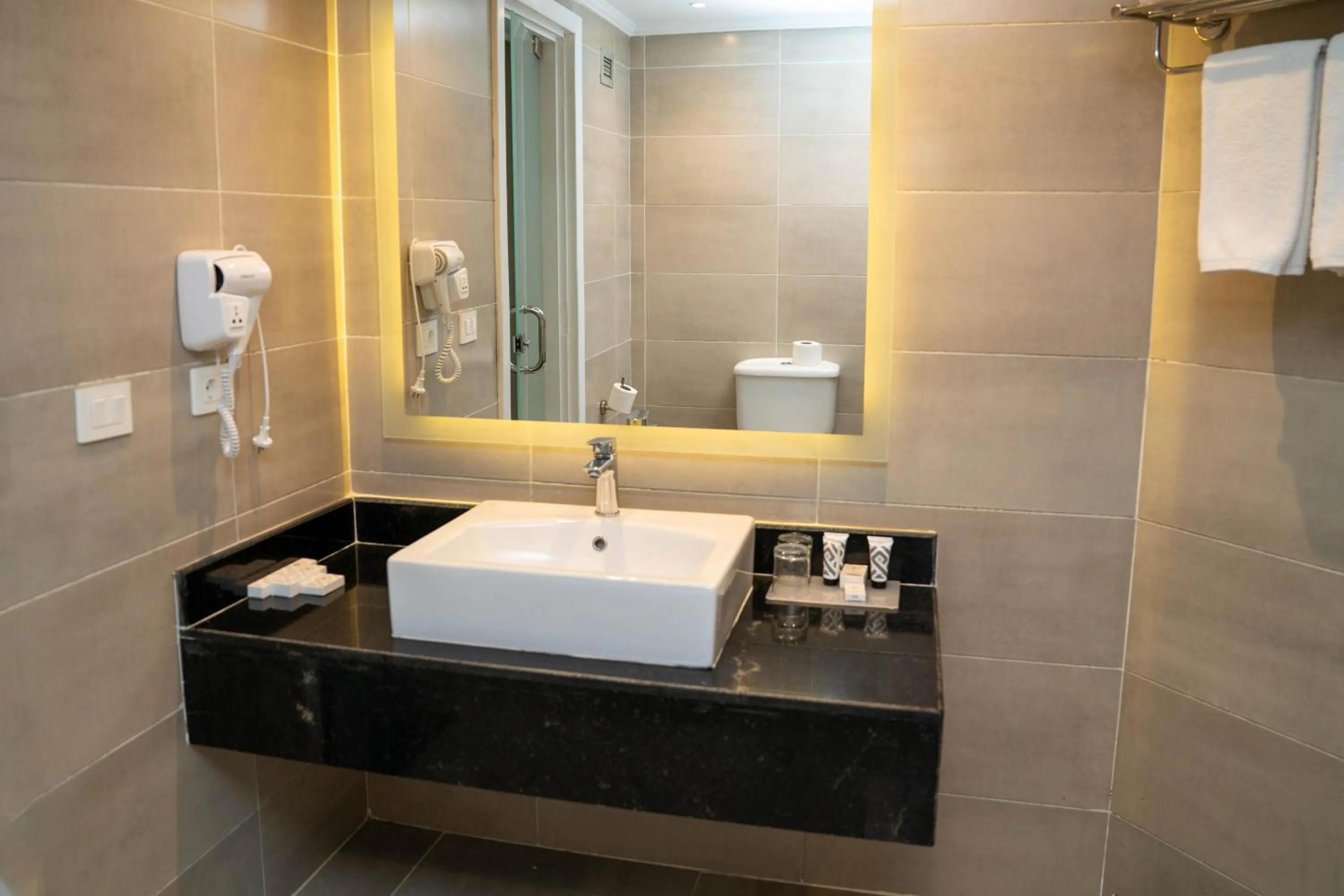 Bathroom in Pyramisa Island Hotel Aswan