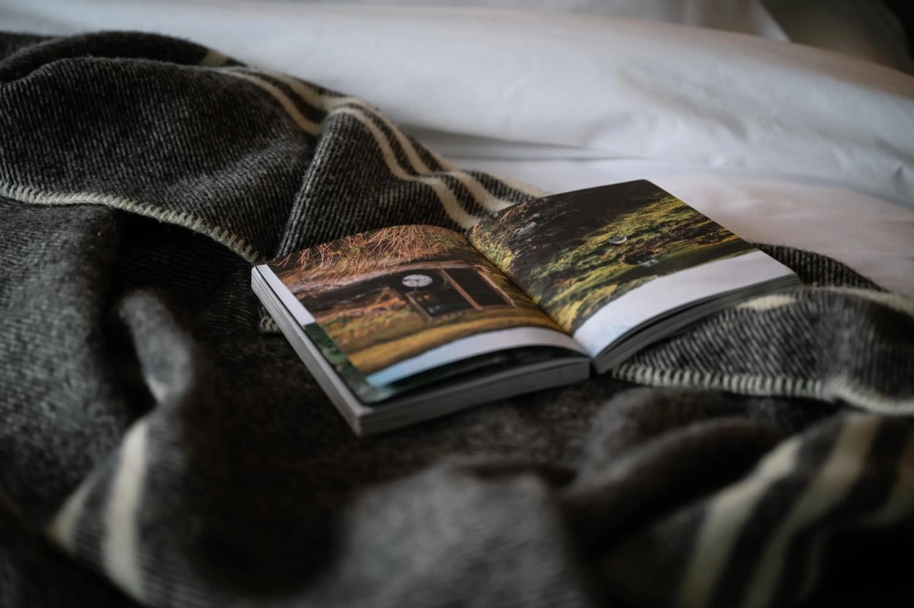 Bed in Carmel at Sorrento