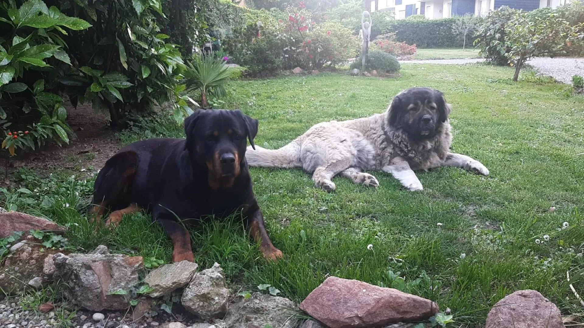 Garden in Invilla B&B