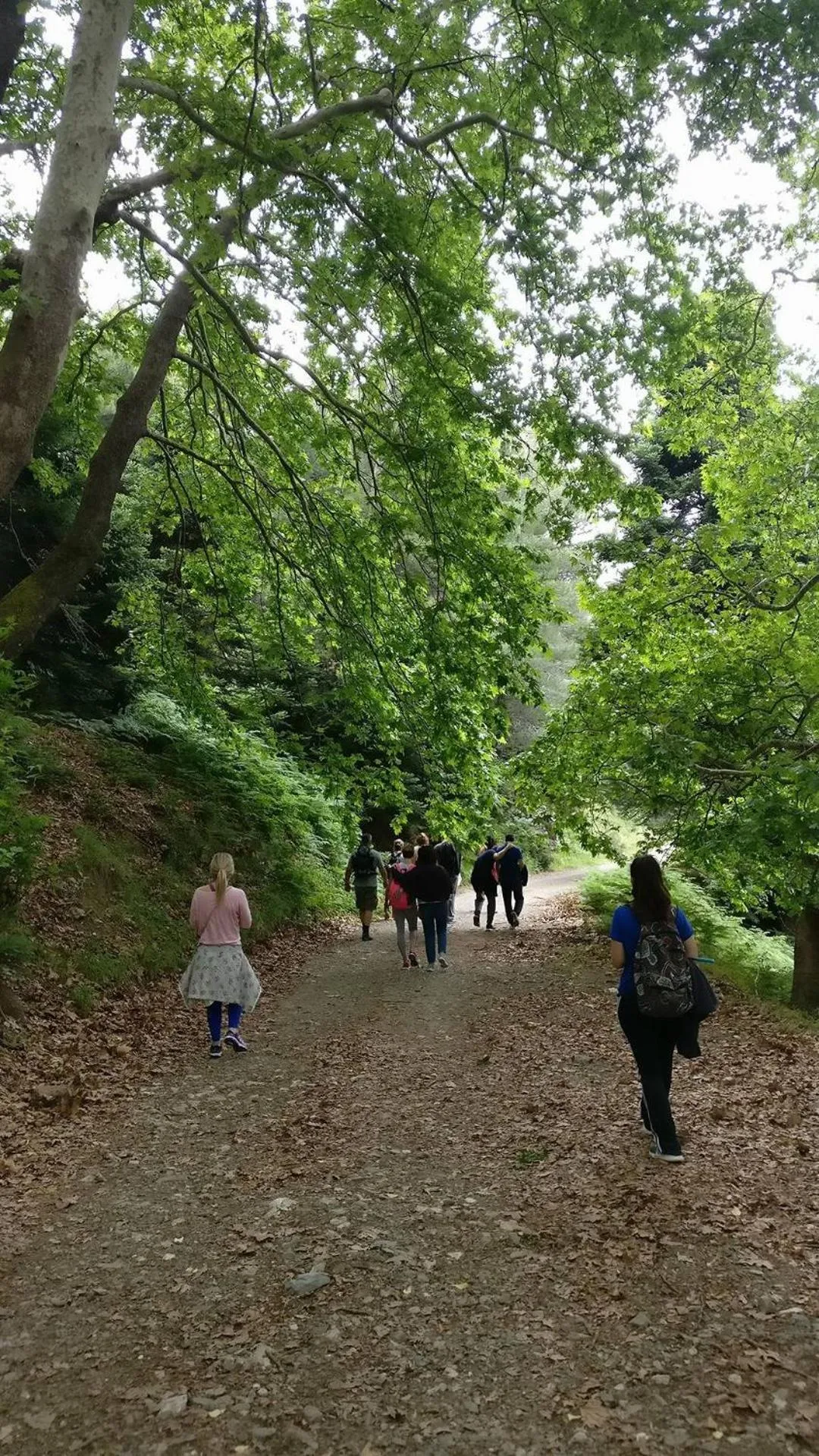 Hiking in Hotel Steni