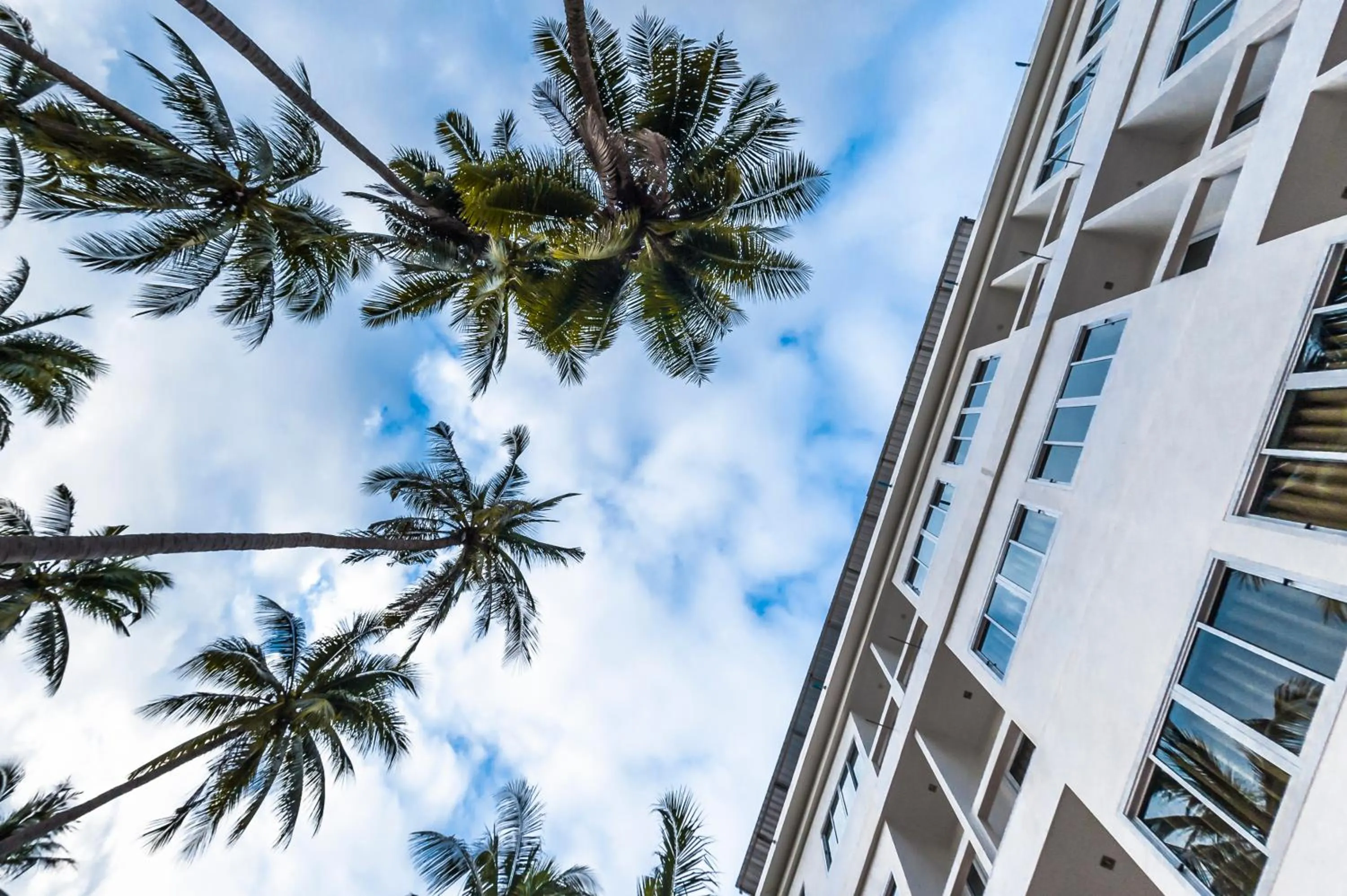 Garden view in Pranee Amata