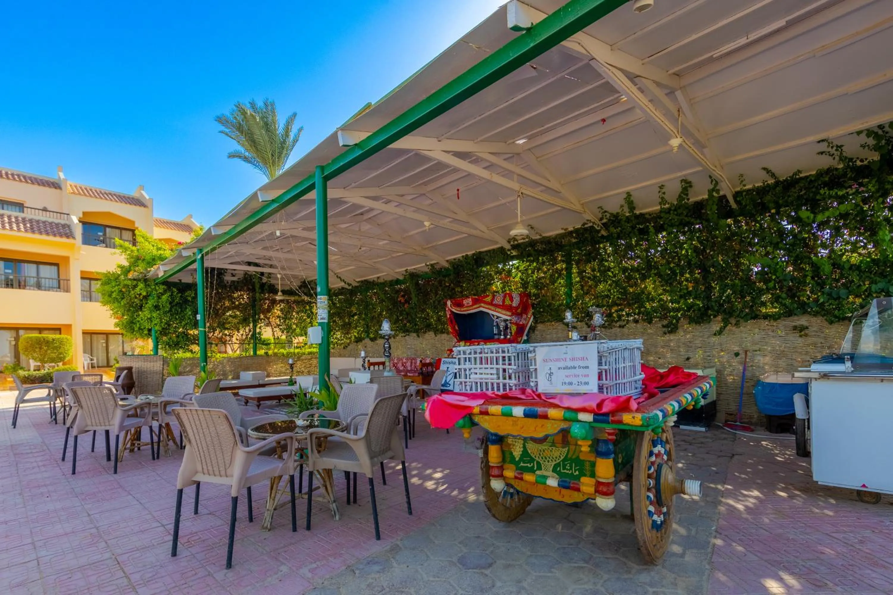 Lunch in Flamenco Beach & Resort Quseir