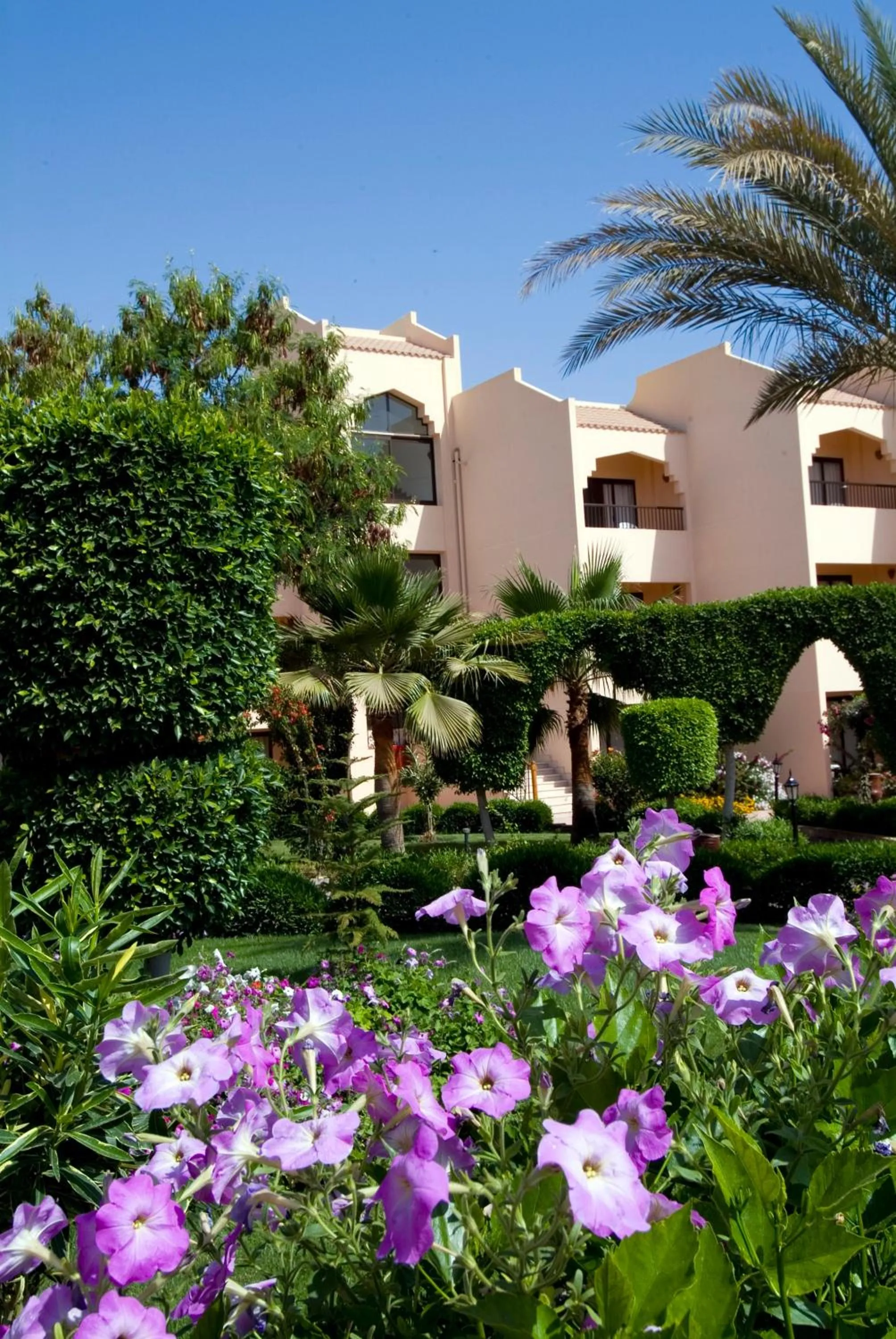 Garden view in Flamenco Beach & Resort Quseir