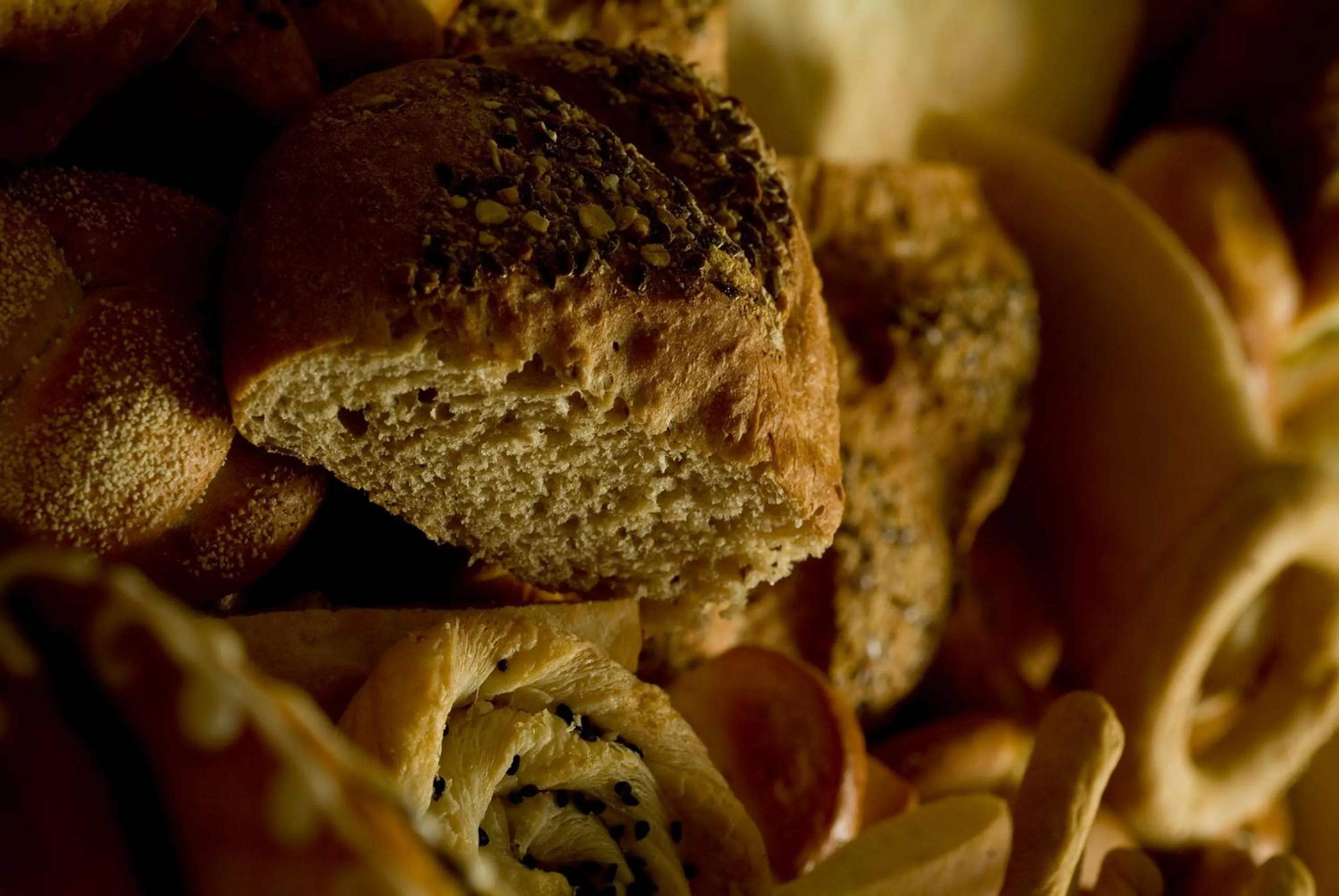 Food close-up in Flamenco Beach & Resort Quseir