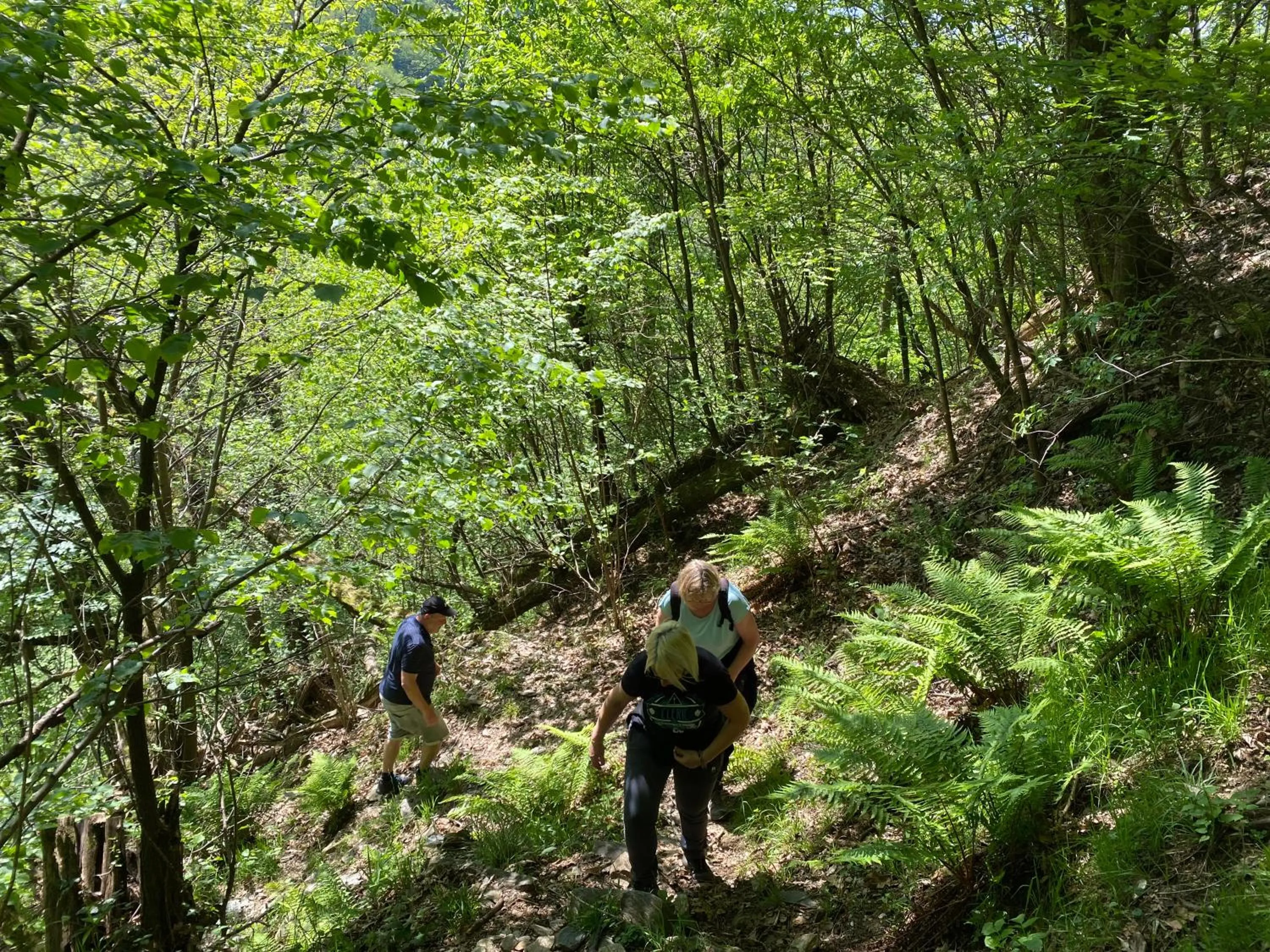 Hiking in B&B La Locanda del Cinghiale