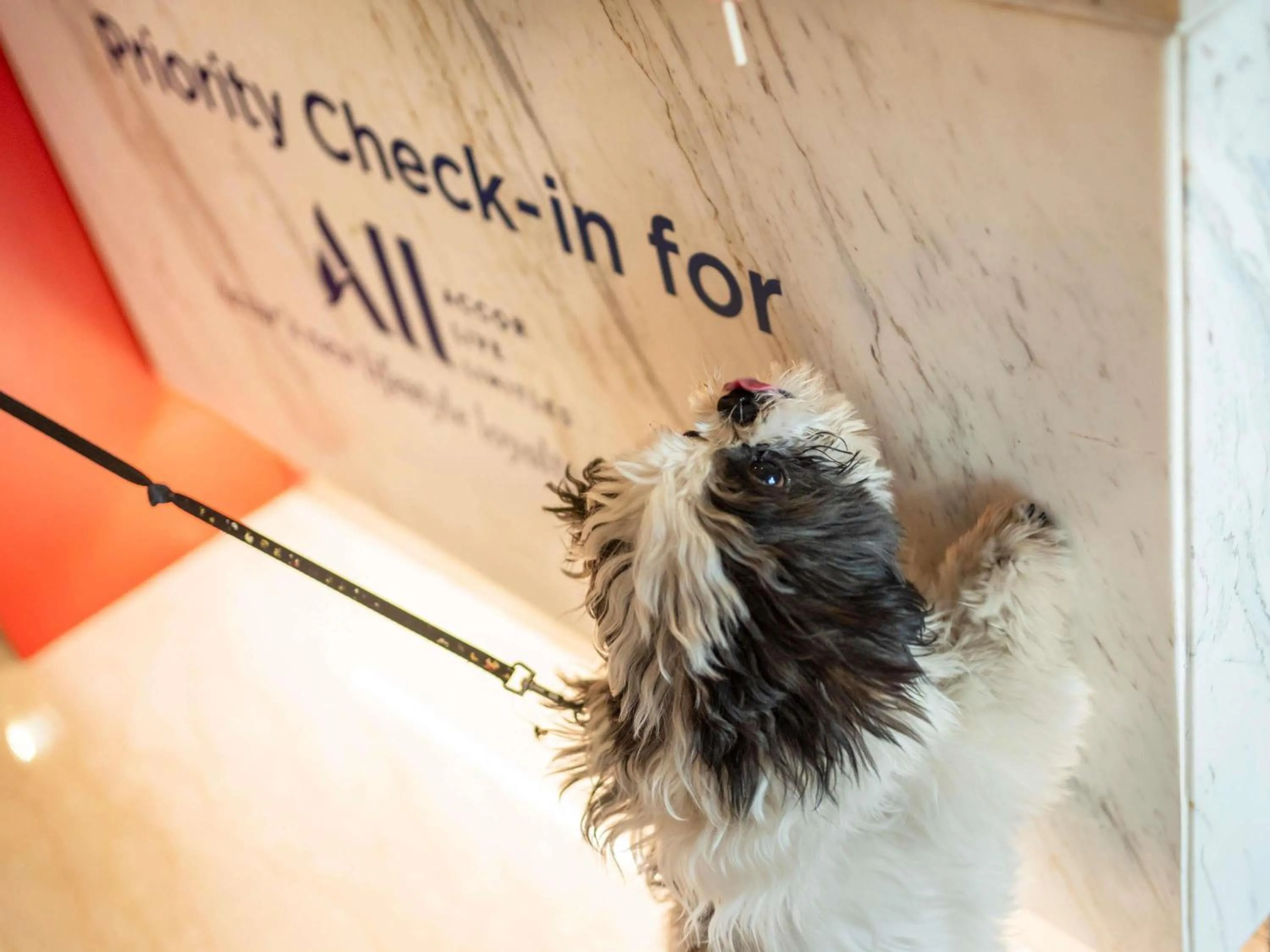 Other in ibis Chennai City Centre - An Accor Brand