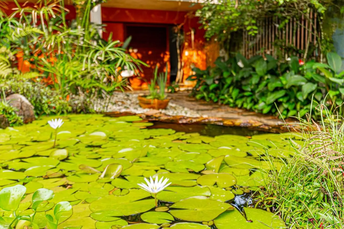Garden in Pousada Jamboo