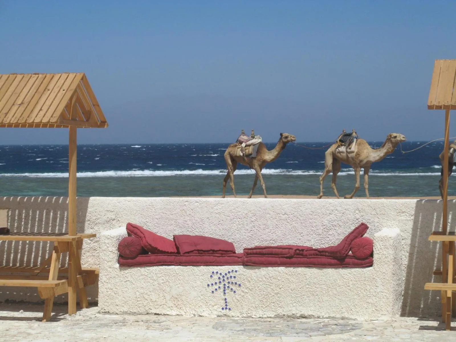 Day in Daniela Diving Resort Dahab