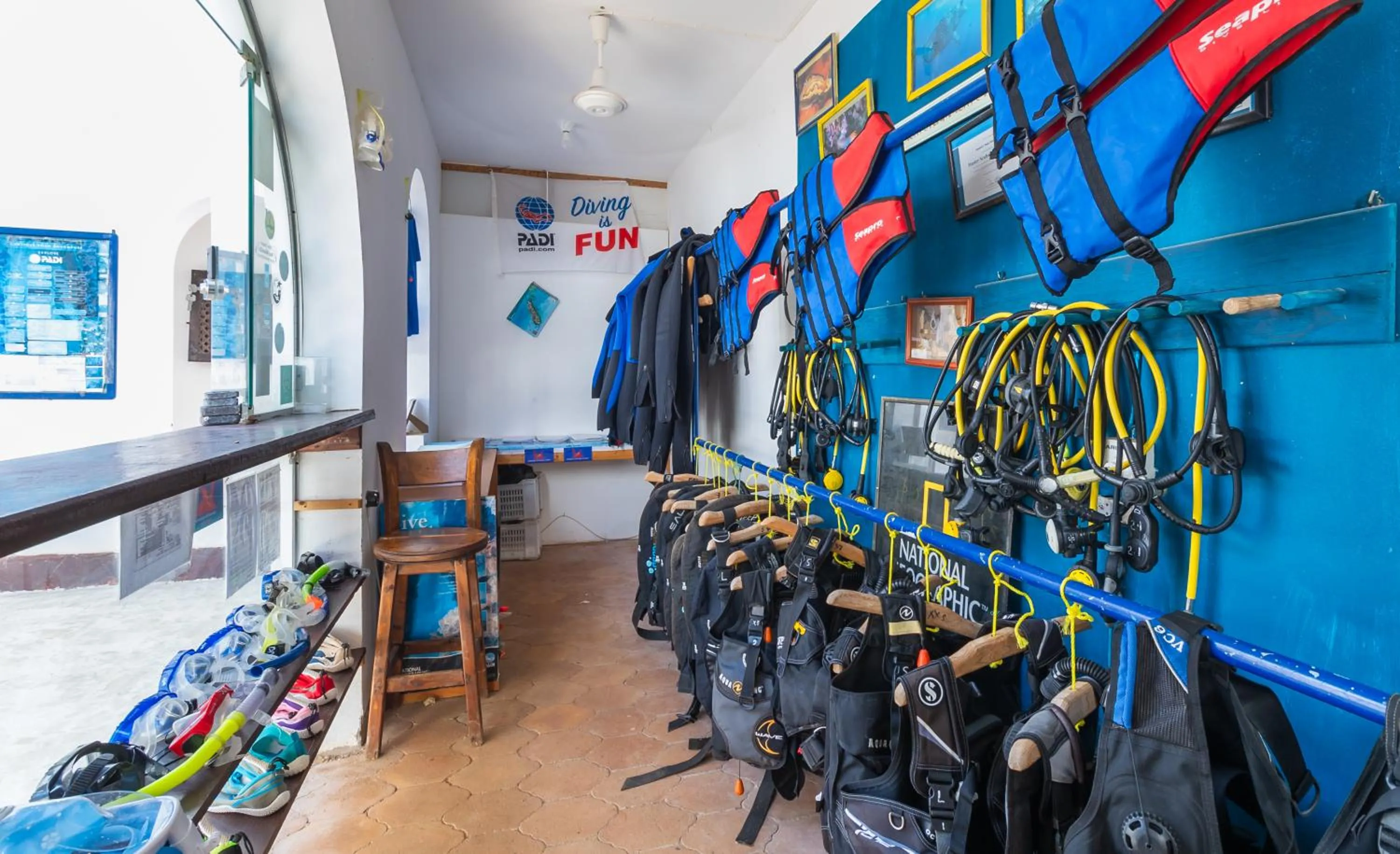 Diving in Daniela Diving Resort Dahab