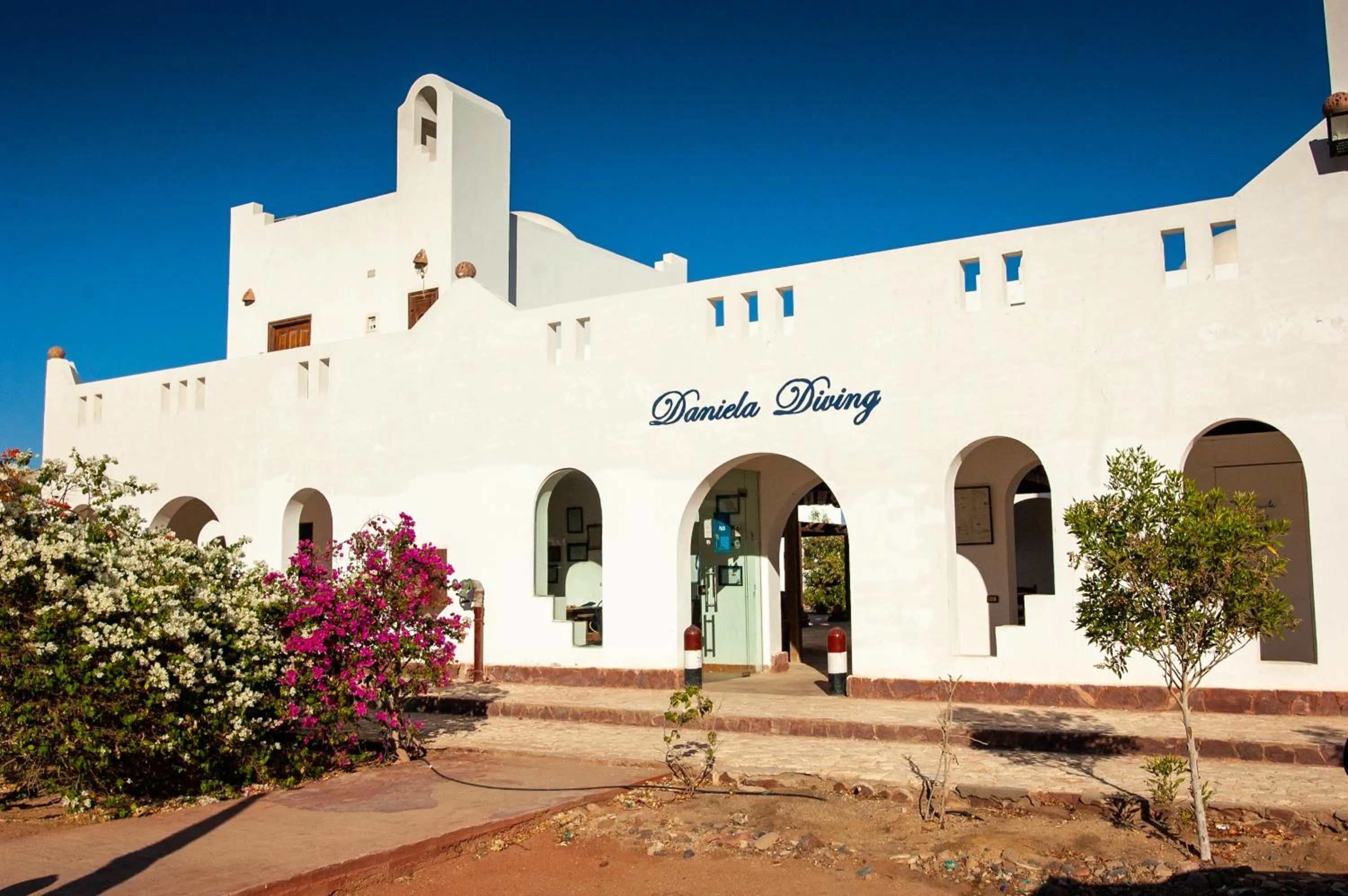 Diving in Daniela Diving Resort Dahab