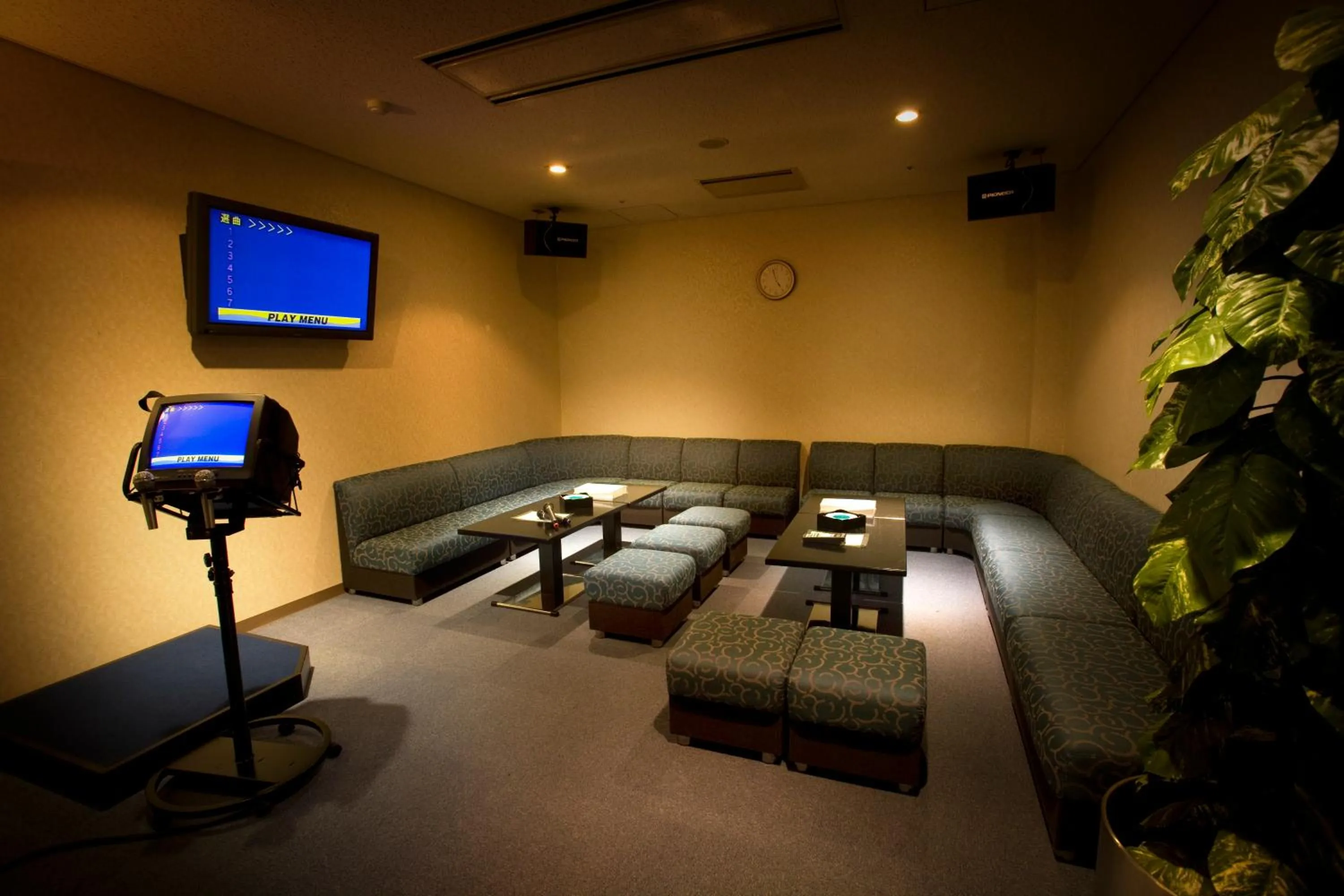 Karaoke in Tsurugi Koizuki