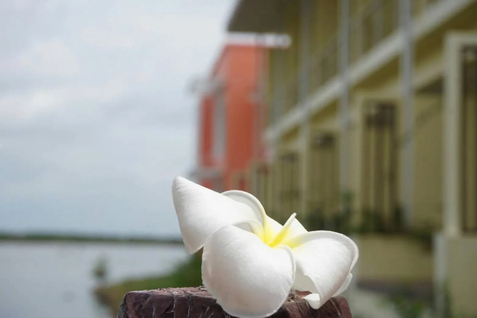 Baan Talay See Cream Resort