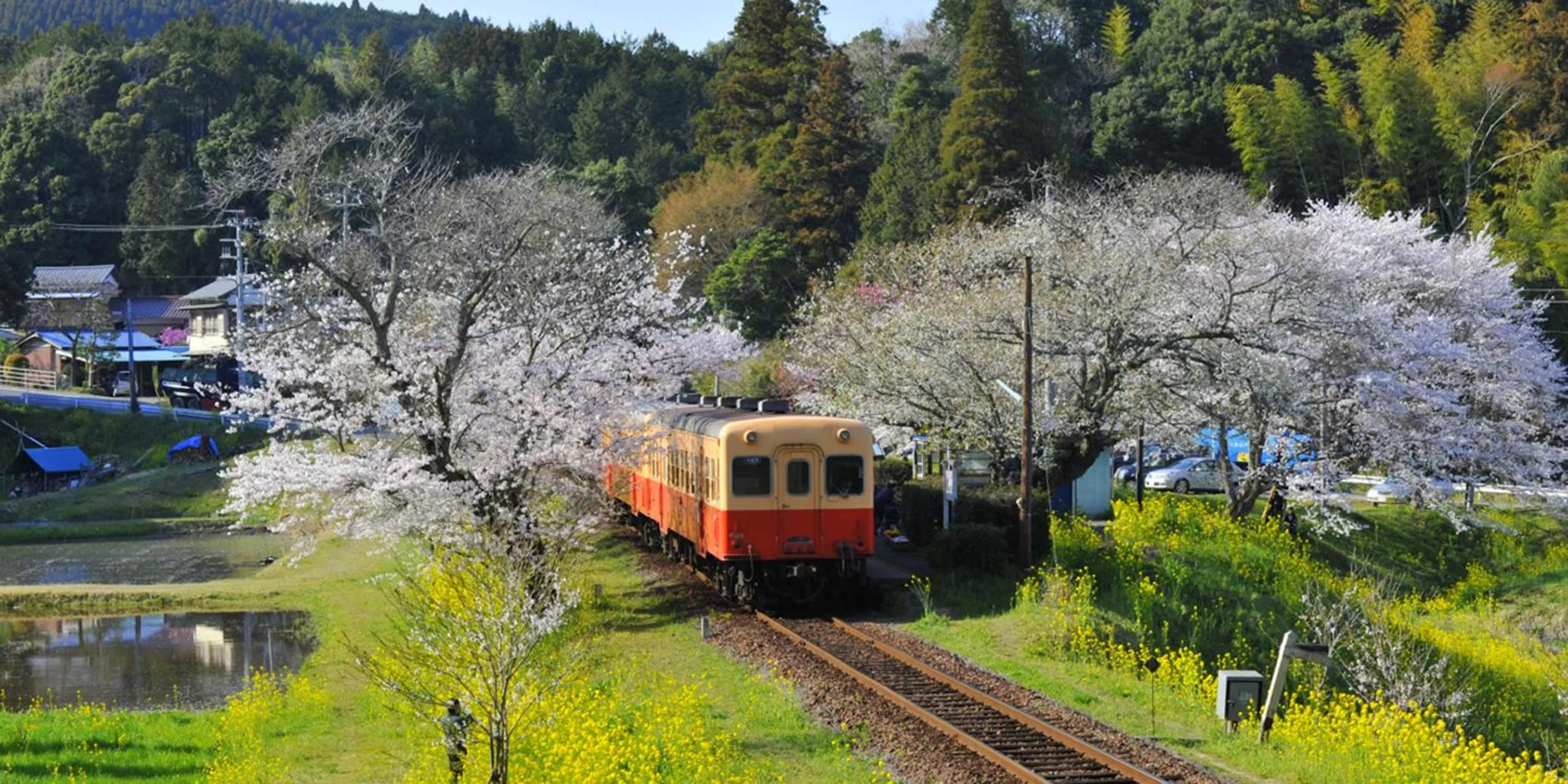 Natural landscape in Ichihara Marine Hotel