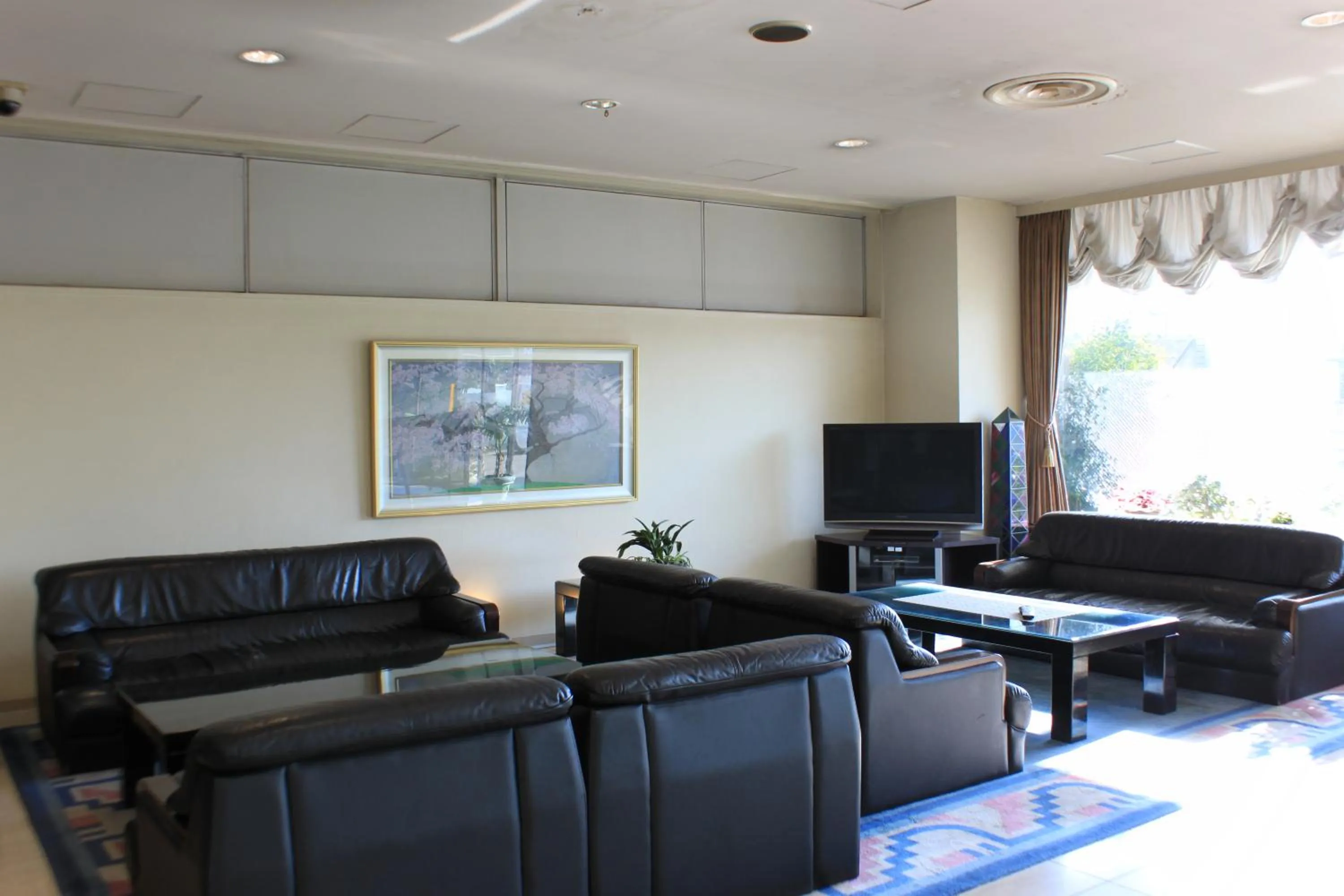 Communal lounge/ TV room in Ichihara Marine Hotel