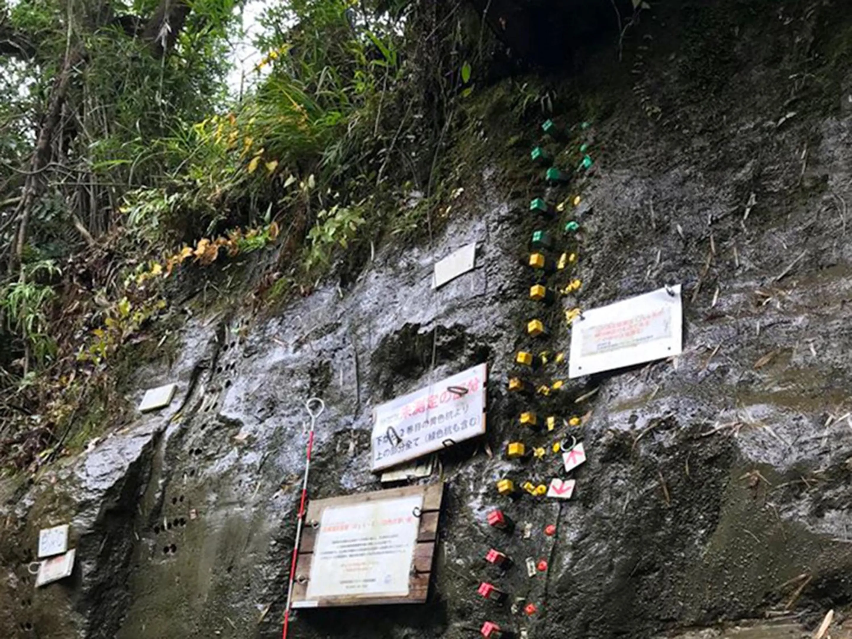 Natural landscape in Ichihara Marine Hotel