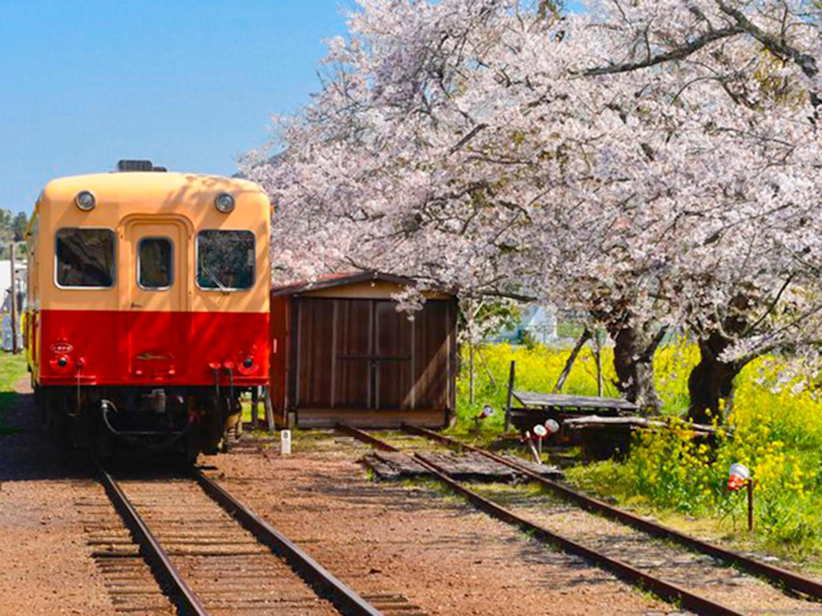 Natural landscape in Ichihara Marine Hotel