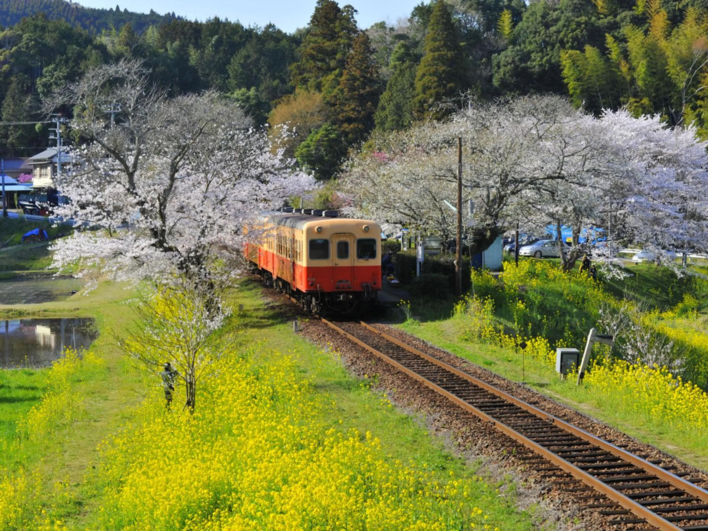 Natural landscape in Ichihara Marine Hotel