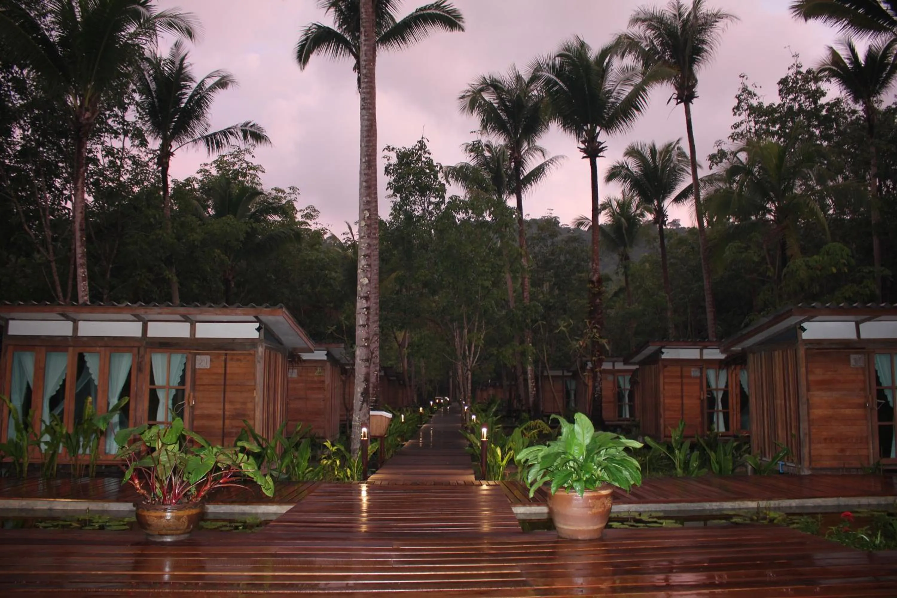 Jungle Koh Kood Resort